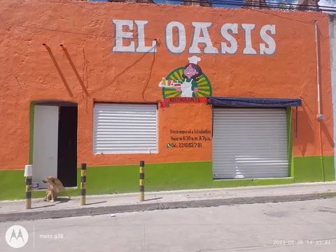 Oasis image 1