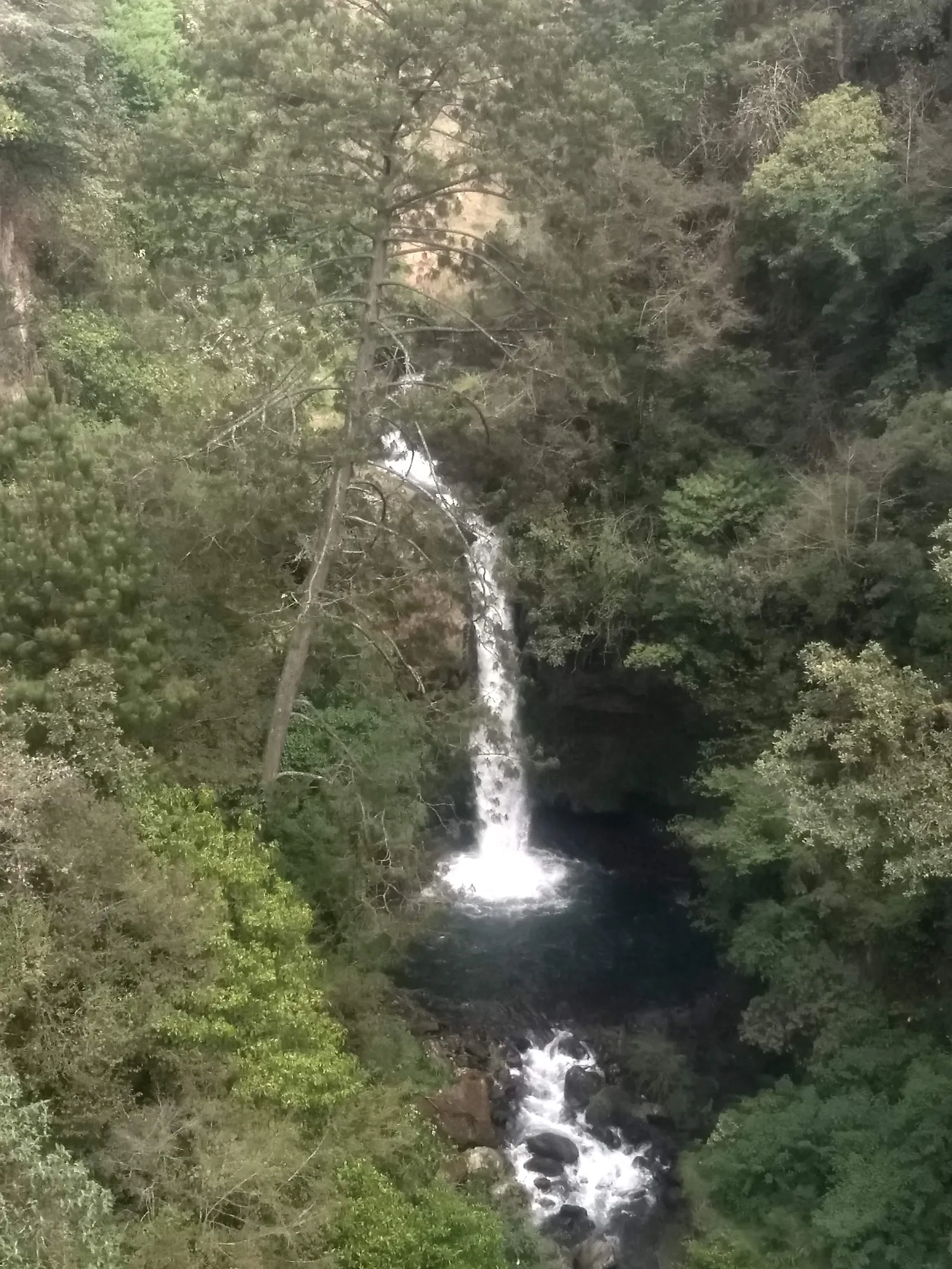 VisitaChilchotla image 7
