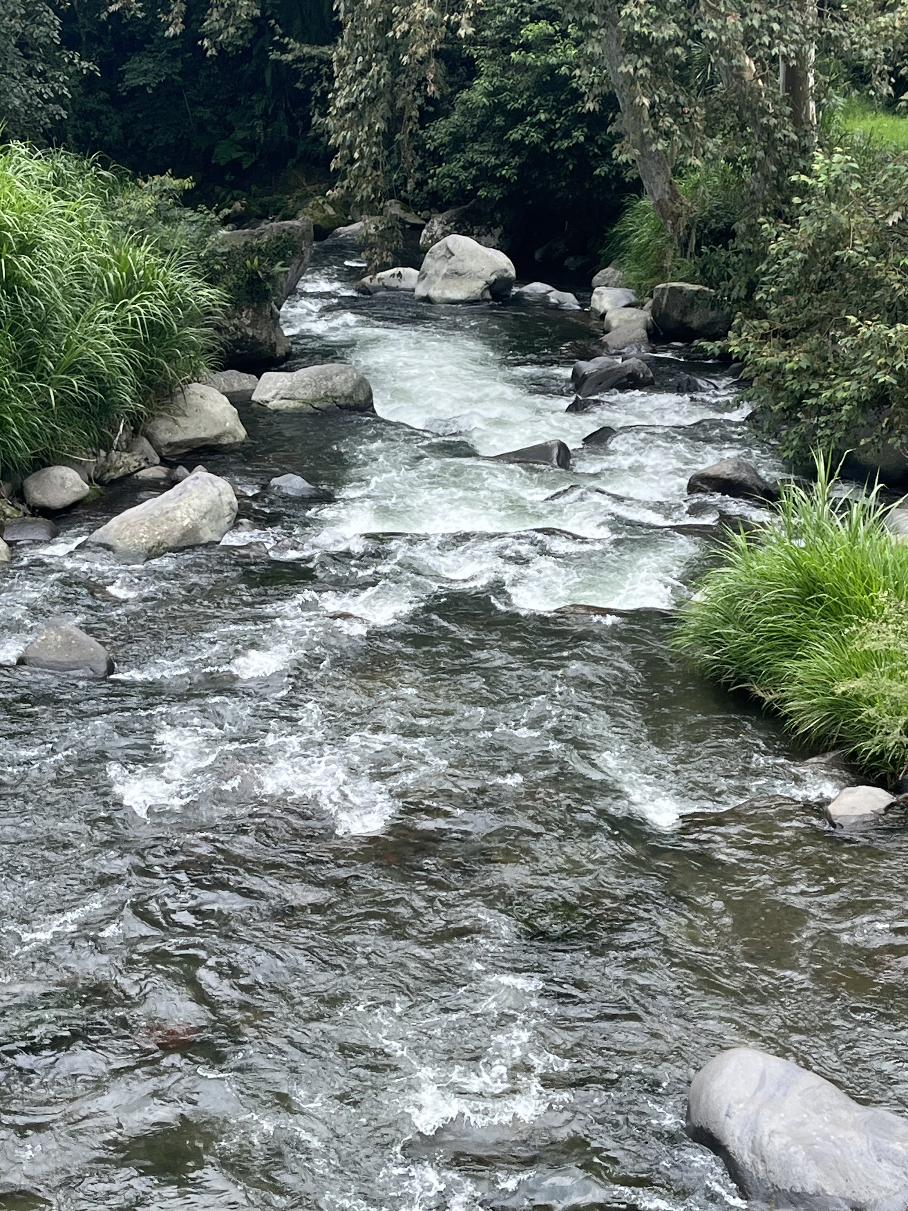 Restaurante La Molienda image 4