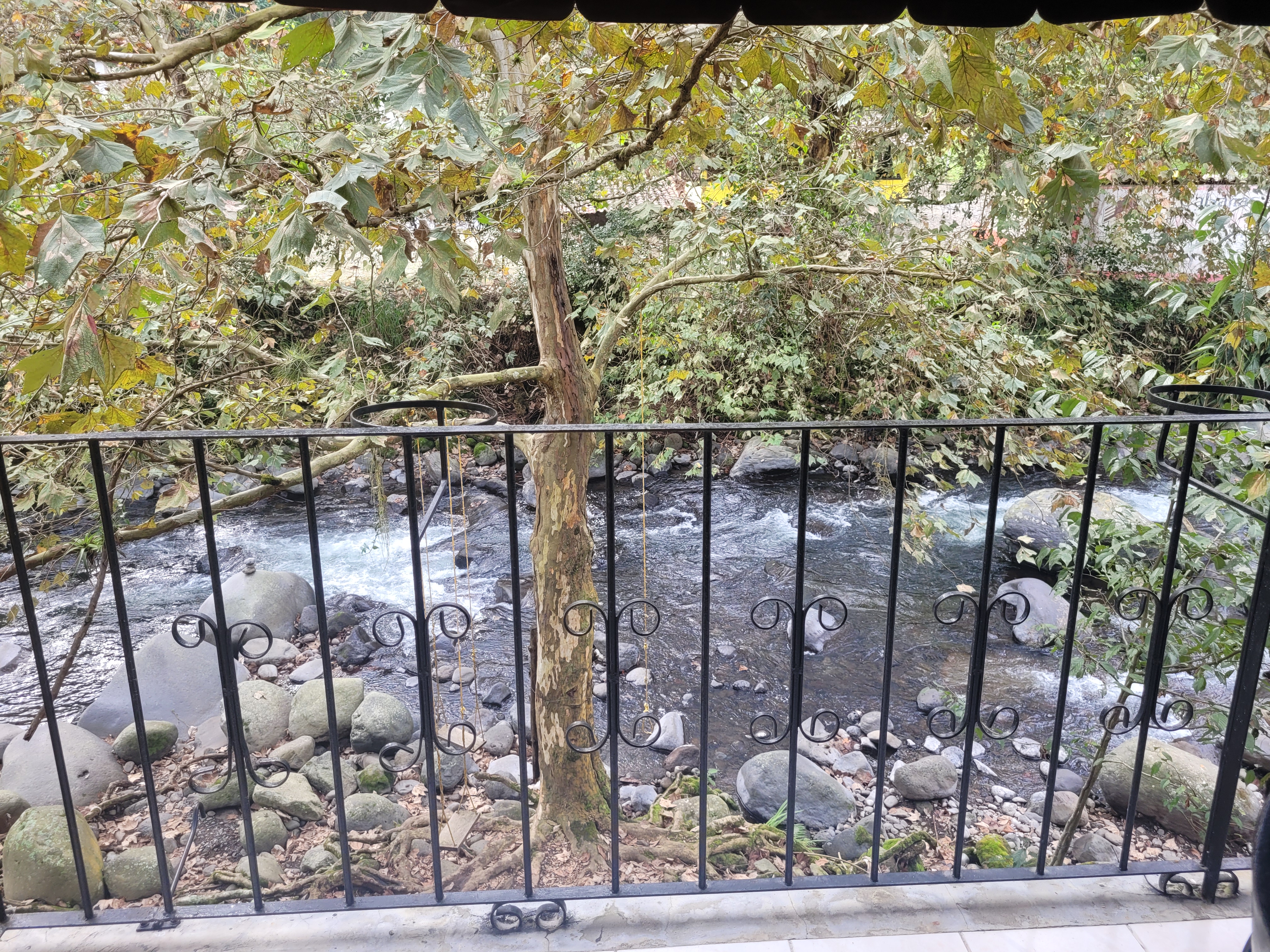 Restaurante La Molienda image 6