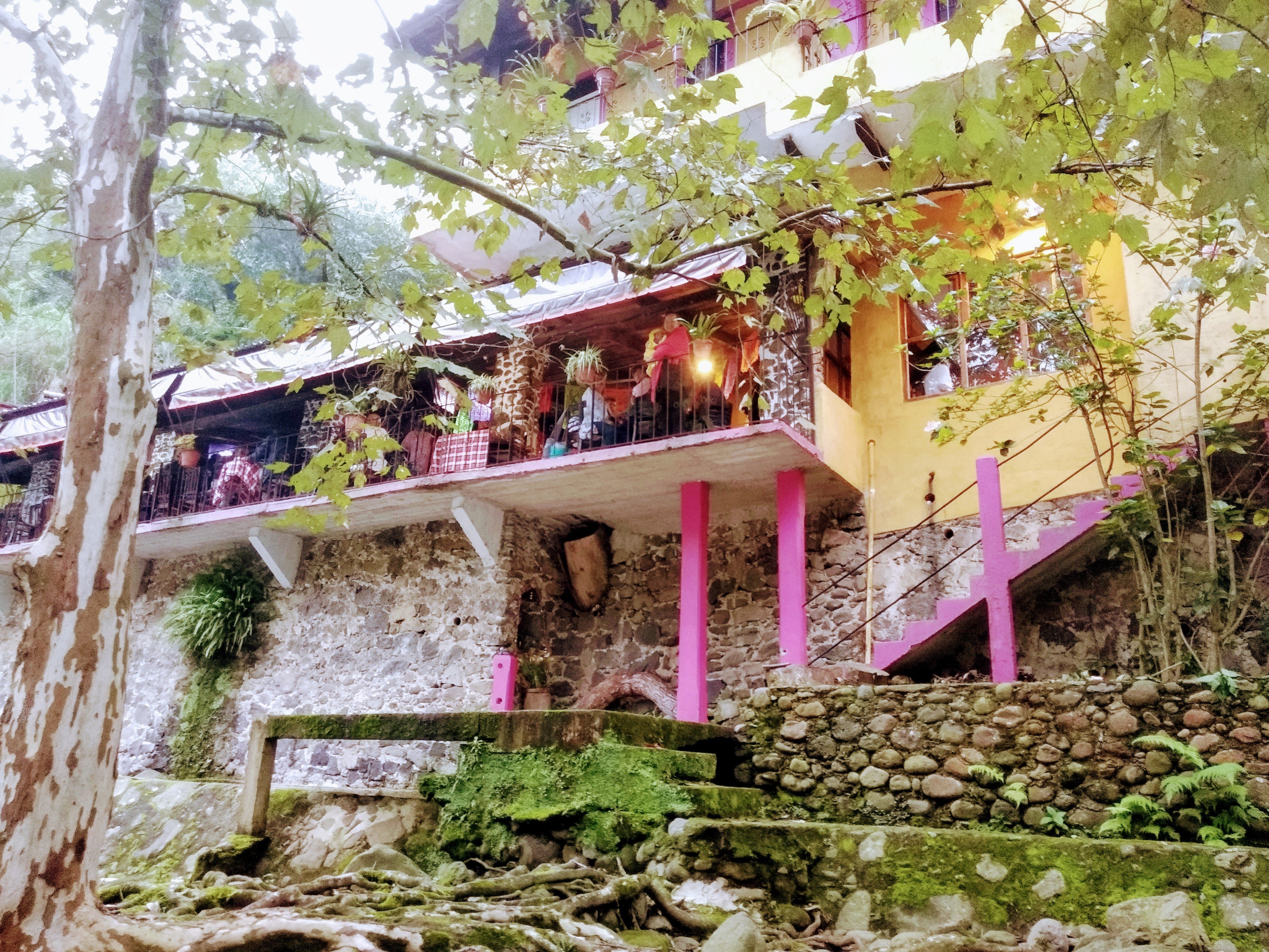 Restaurante La Molienda image 9