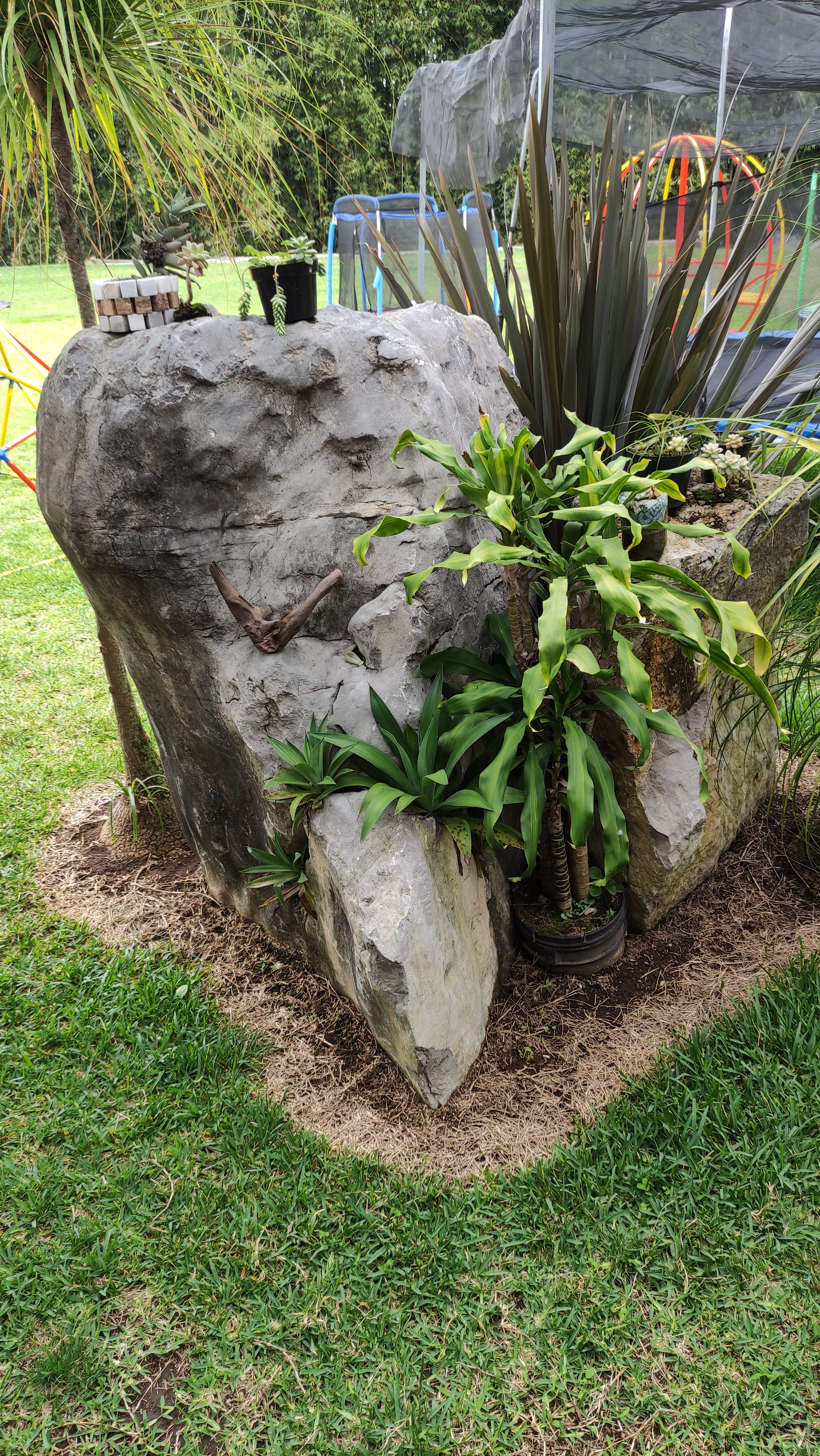 Maná Restaurante Huatusco image 3