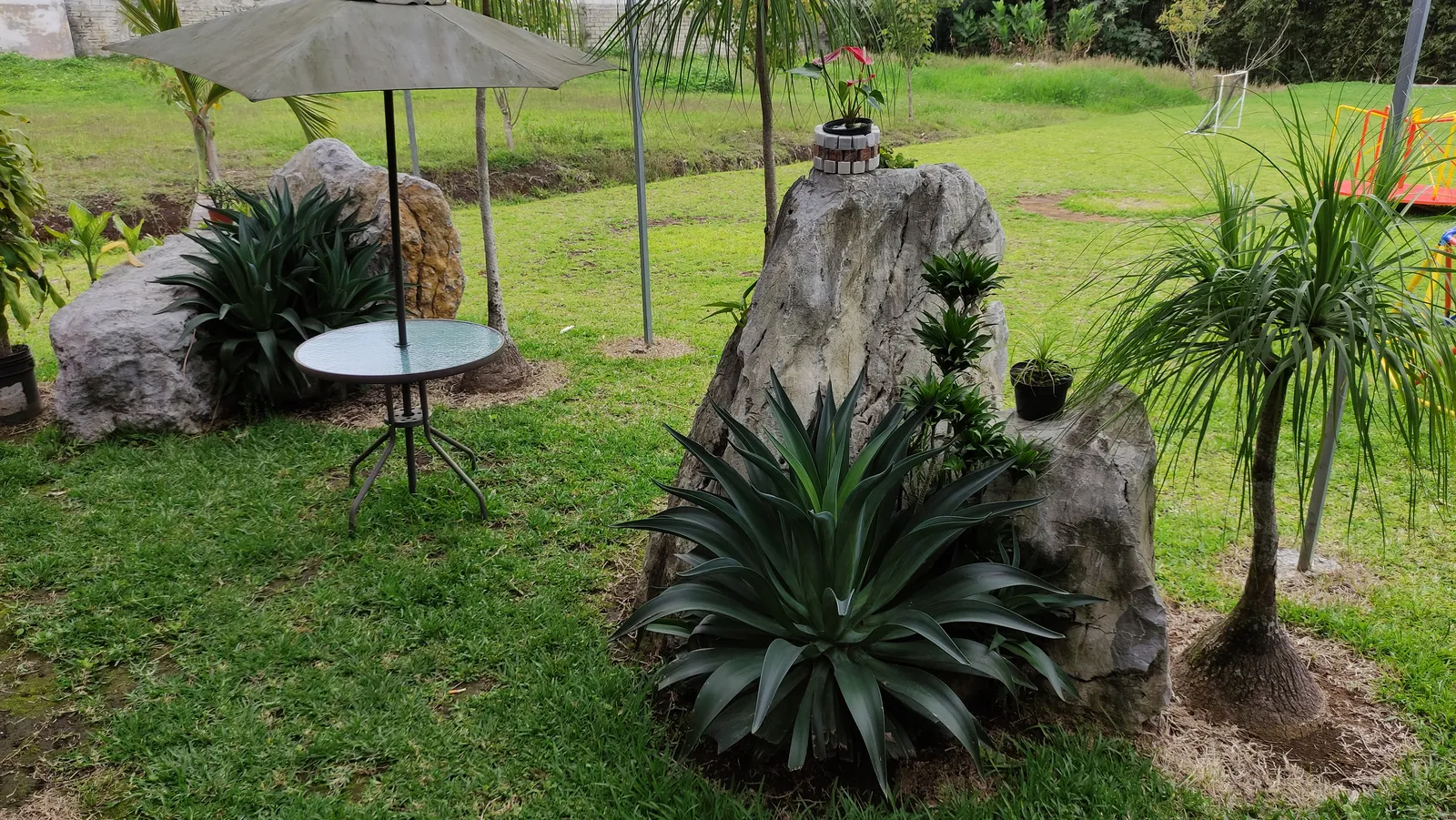 Maná Restaurante Huatusco image 6