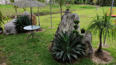 Maná Restaurante Huatusco image 6