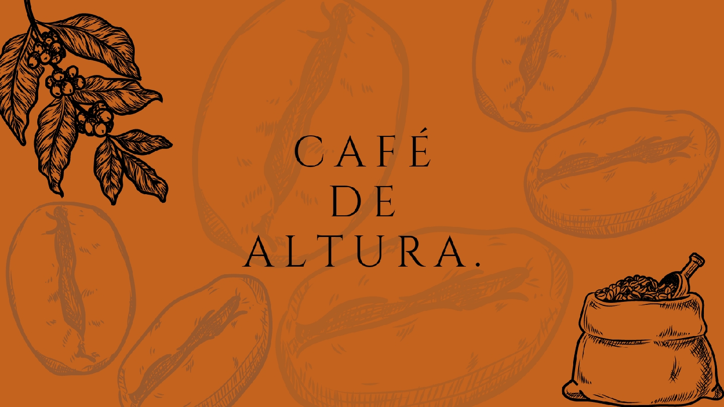 Restaurante Cafe Don Ramon image 3