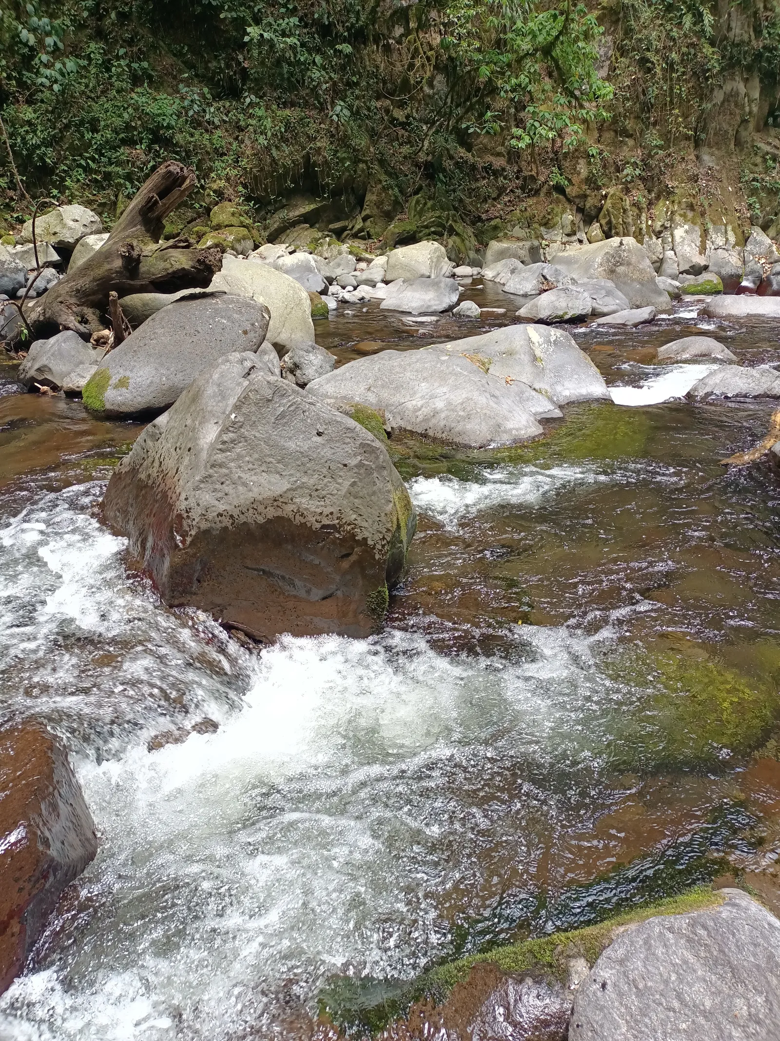 Paraiso de Pextlan image 5