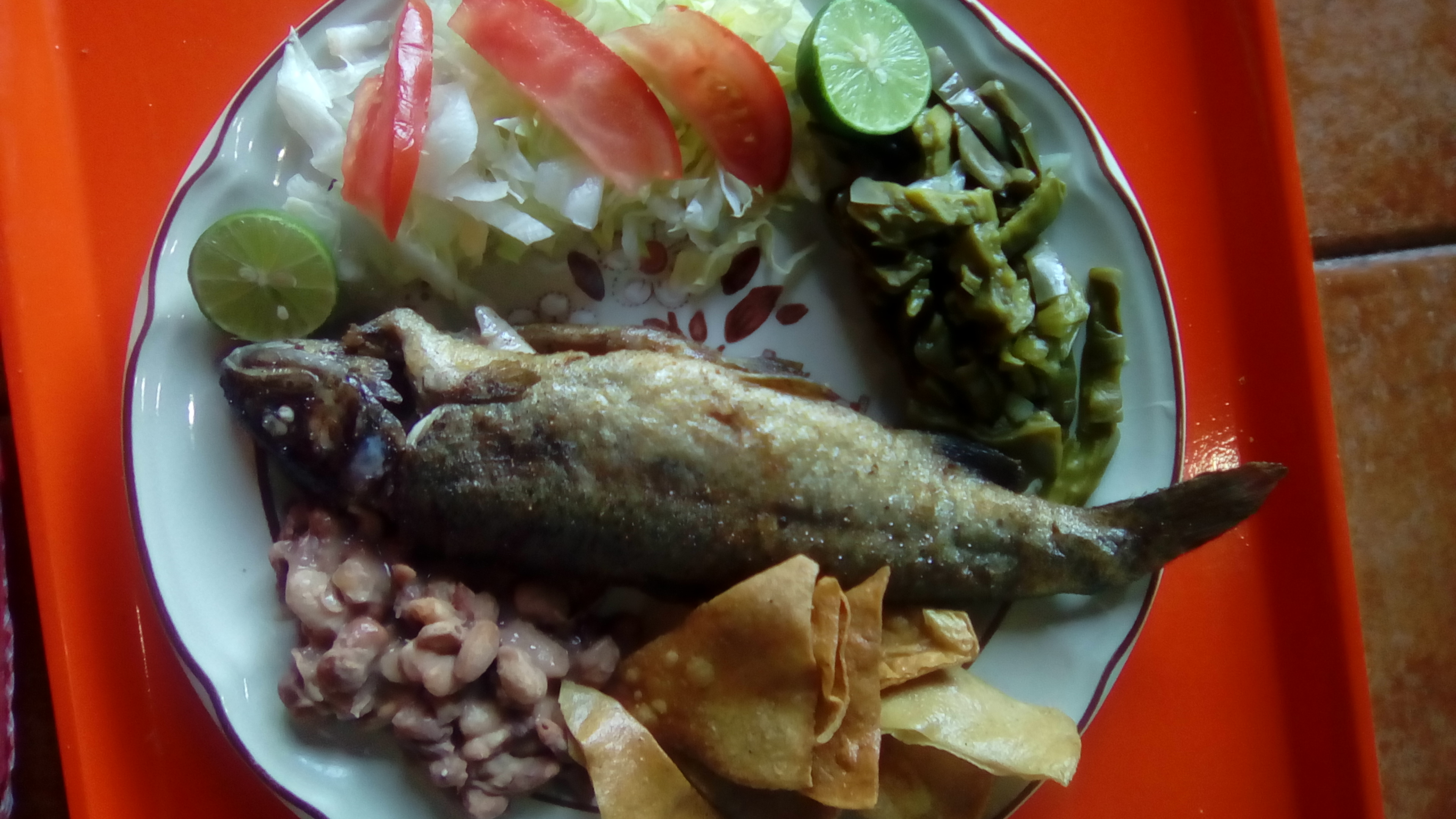 RESTAURANTE BAR "LOS CONEJOS" image 4