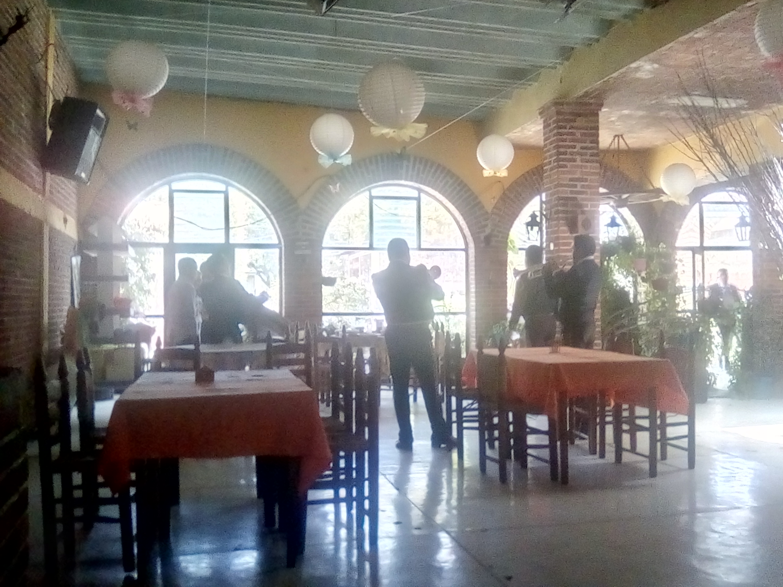 RESTAURANTE BAR "LOS CONEJOS" image 8