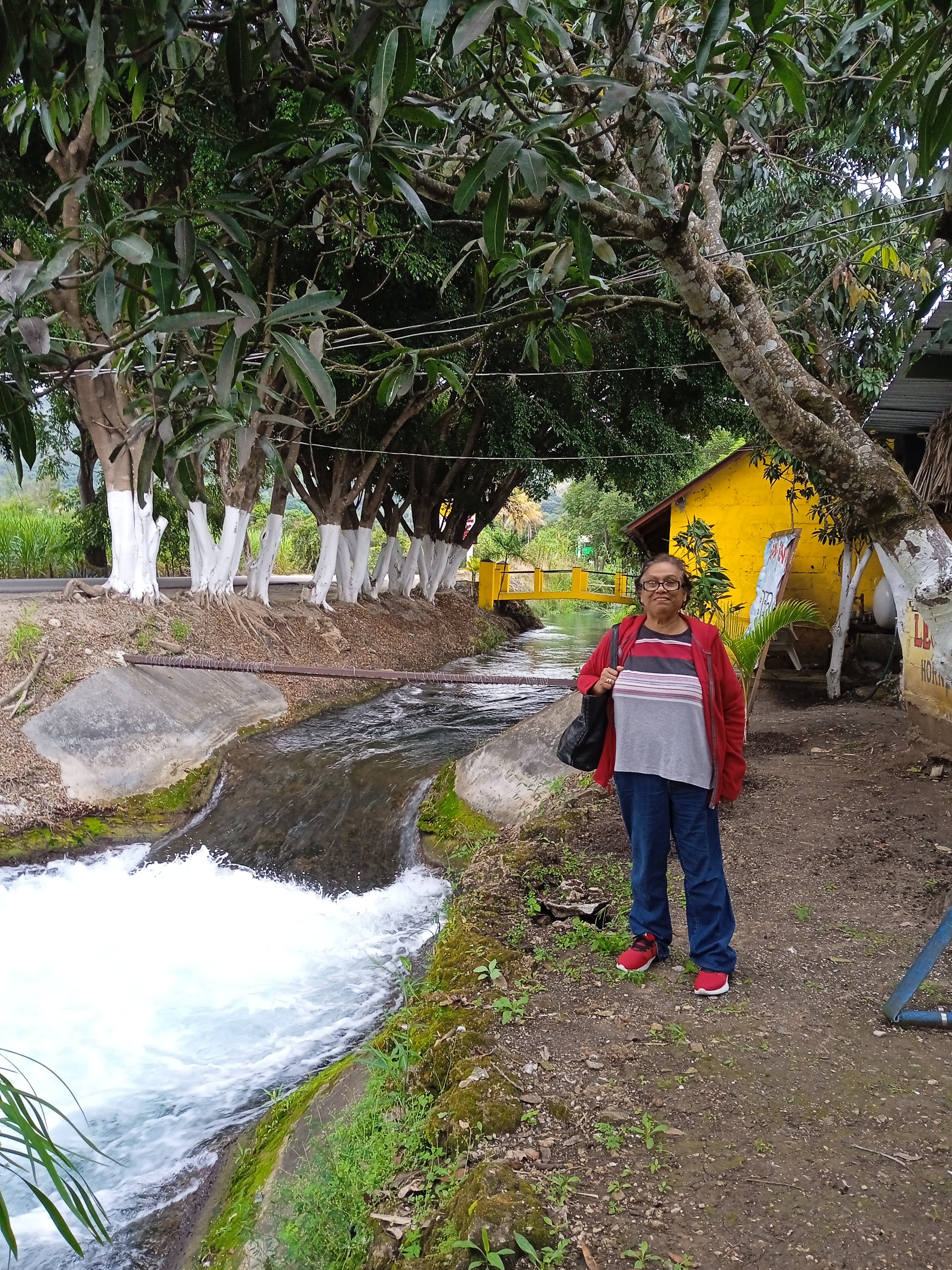 Restaurante El Guitarron Olé image 5