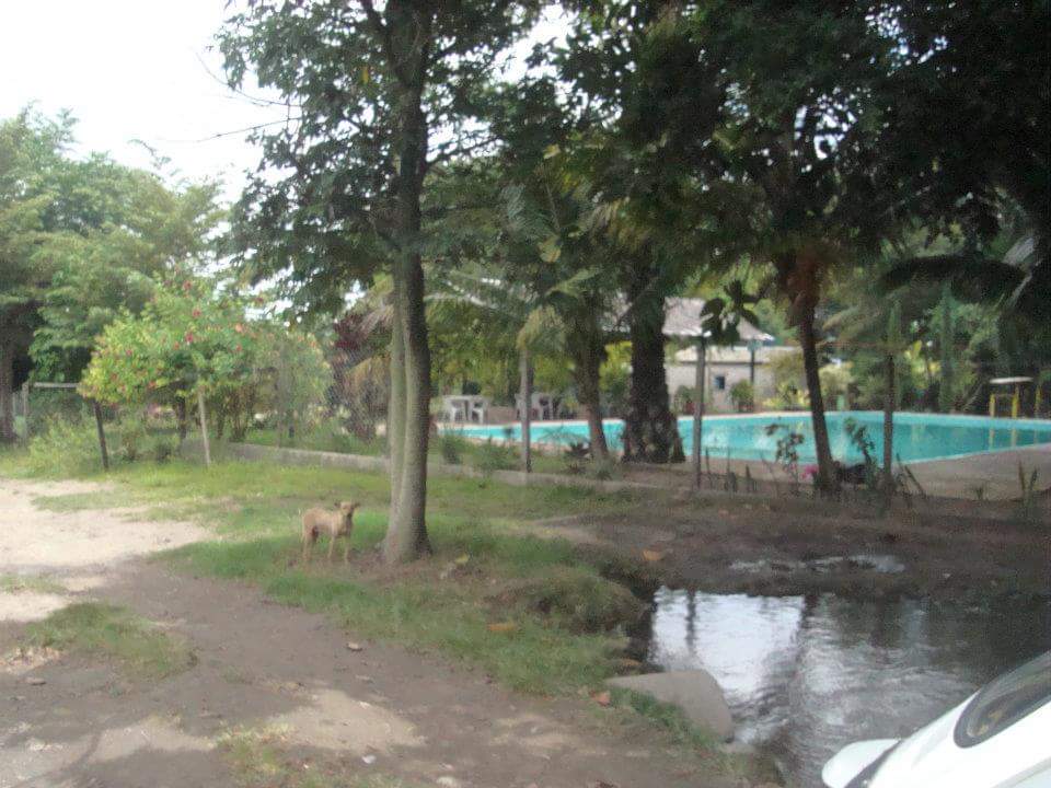 Balneario El Paraiso image 6