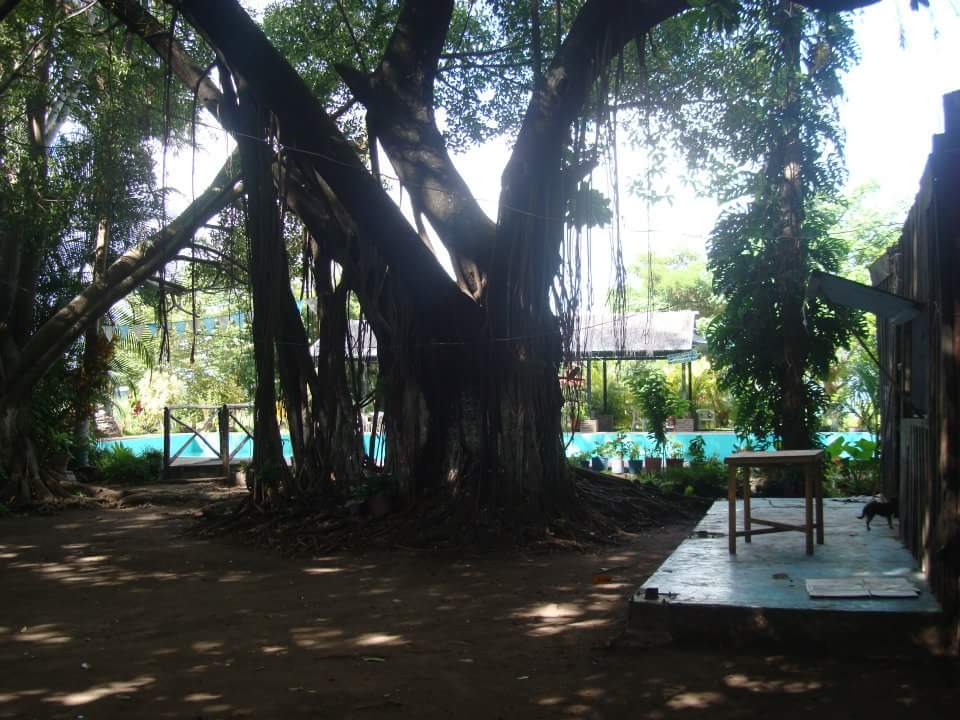 Balneario El Paraiso image 8