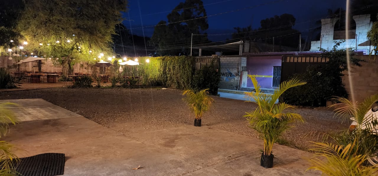 Restaurante Jardín "Alsacia" image 10