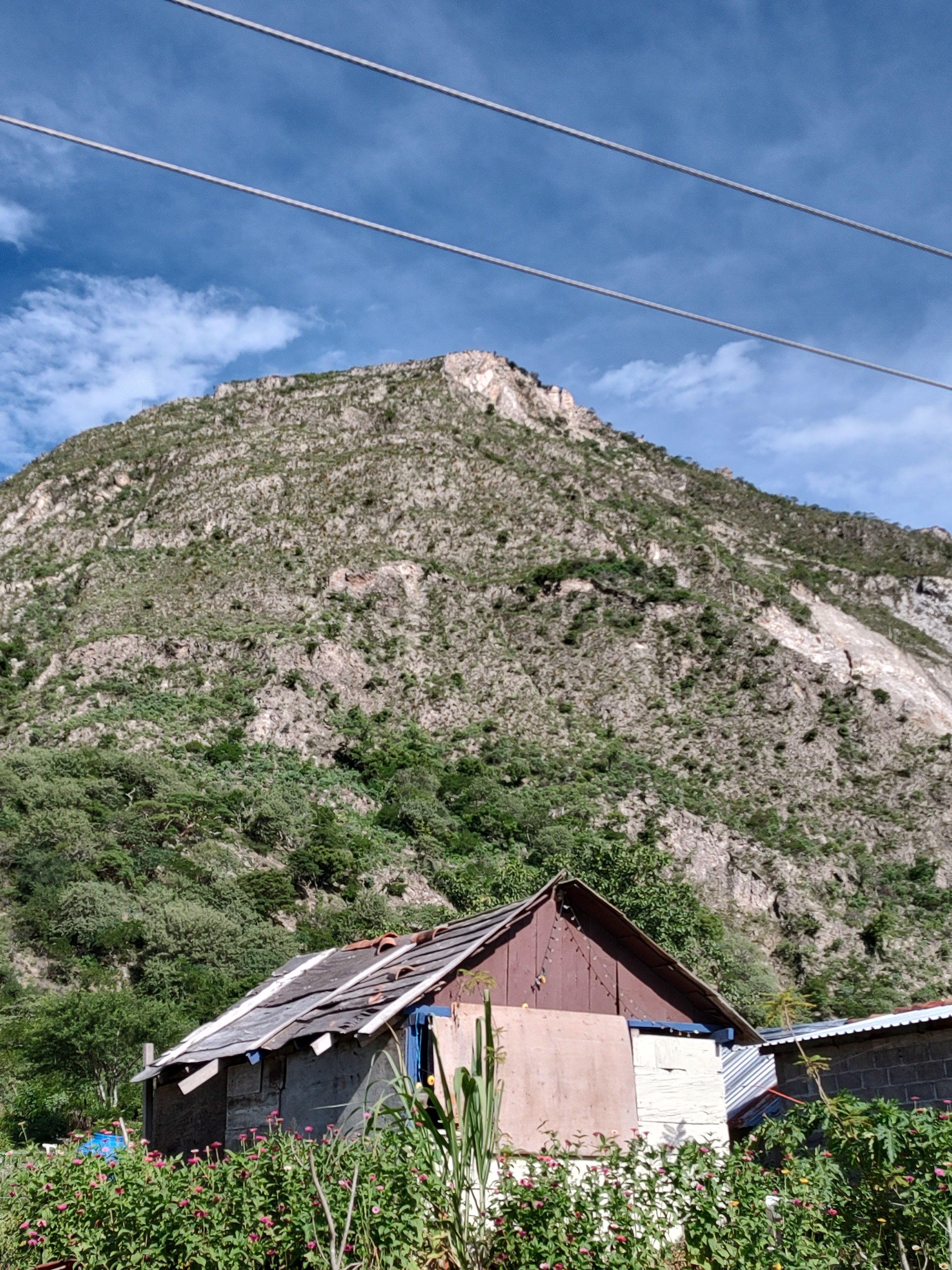 La probadita image 1