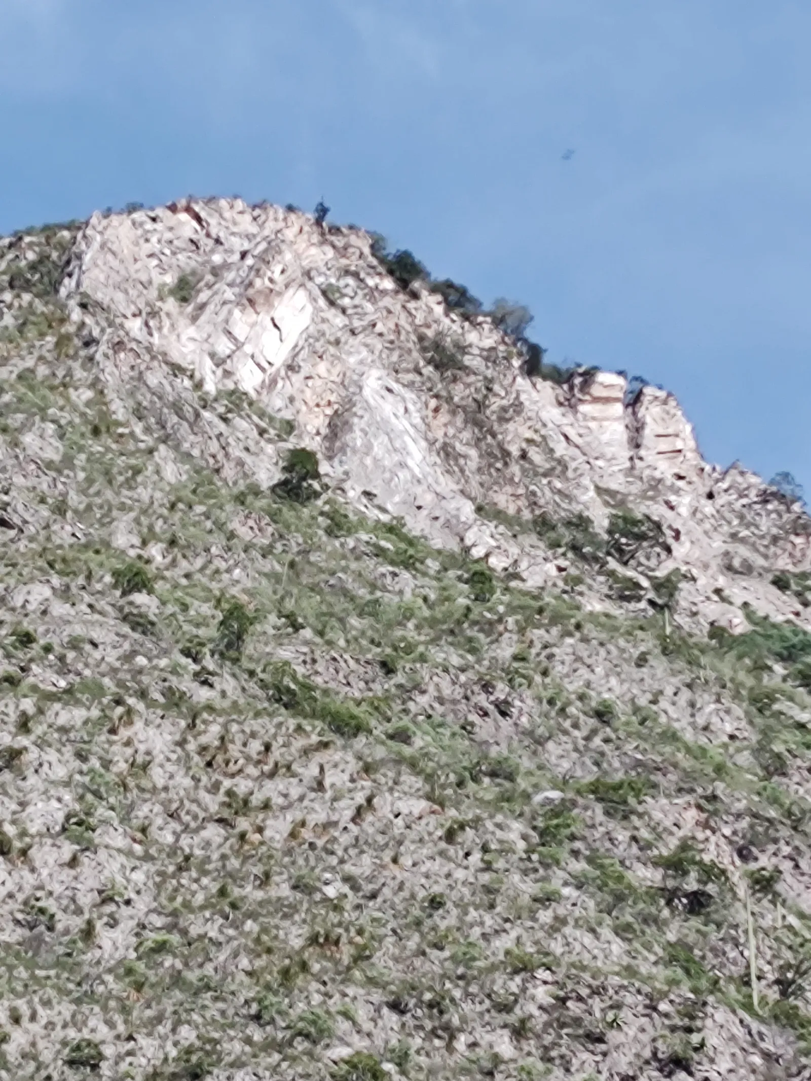La probadita image 2