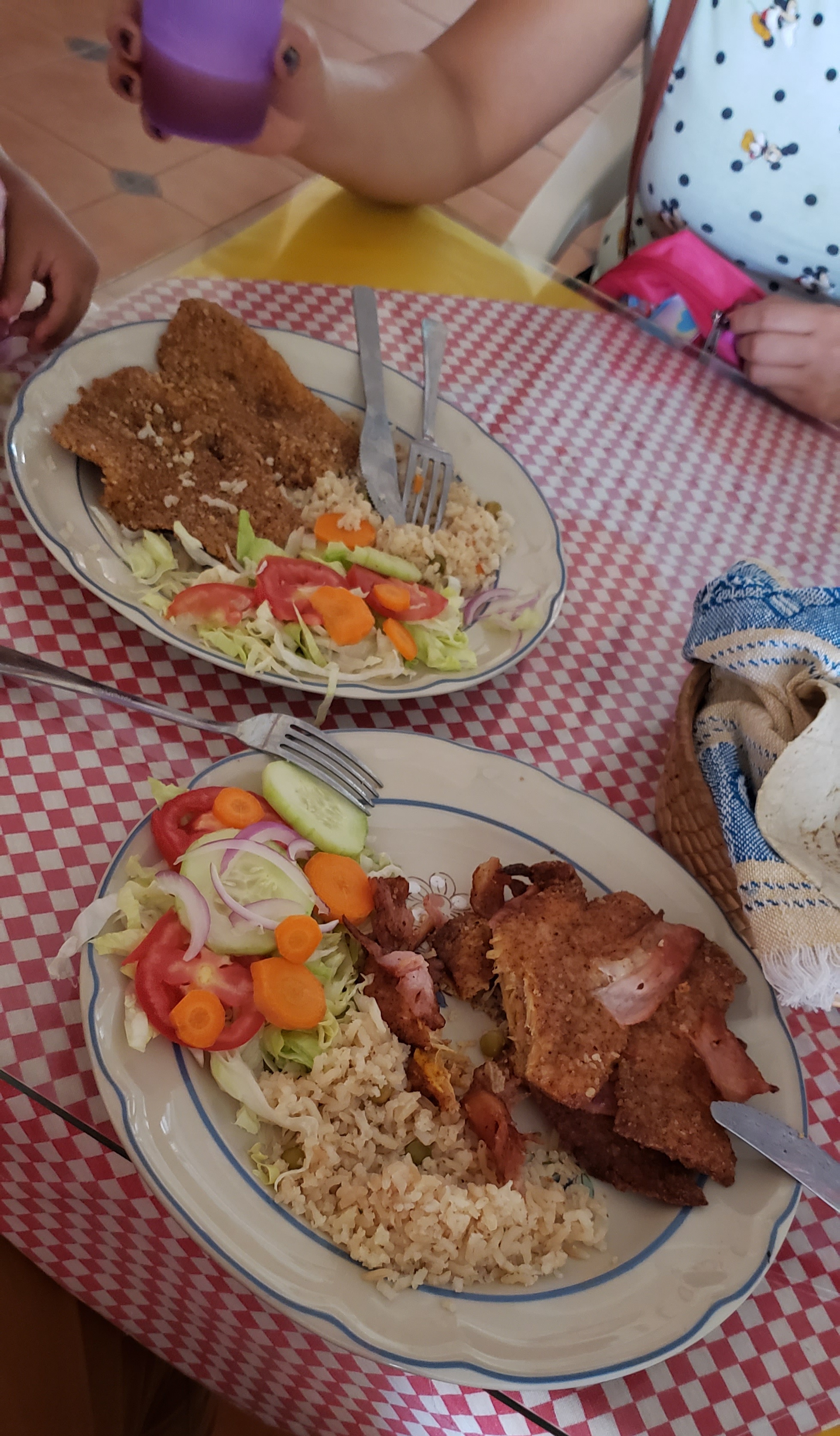 Hotel Restaurante Terremoto image 2