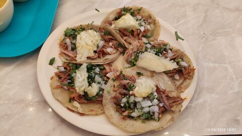 Tacomerse image 3