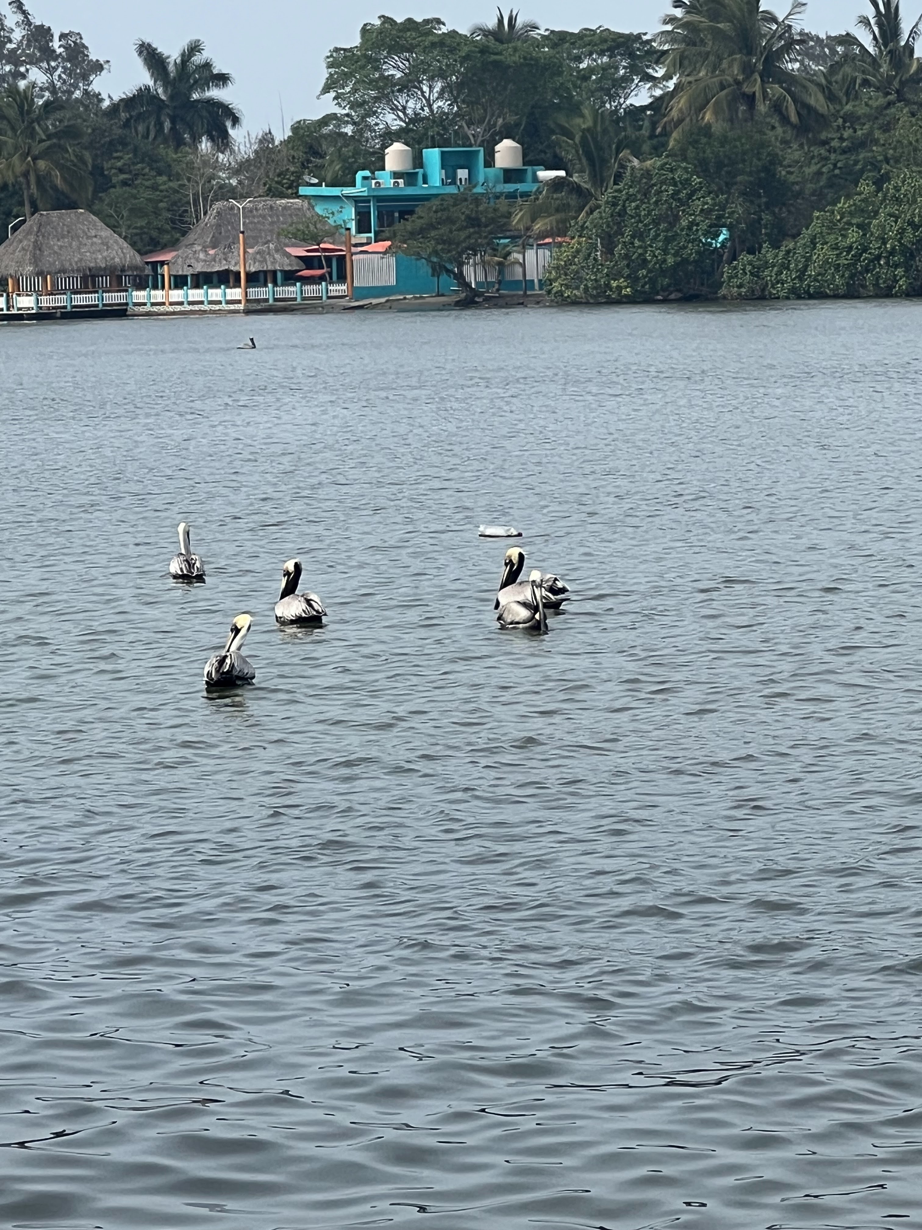 Restaurant Maries image 3