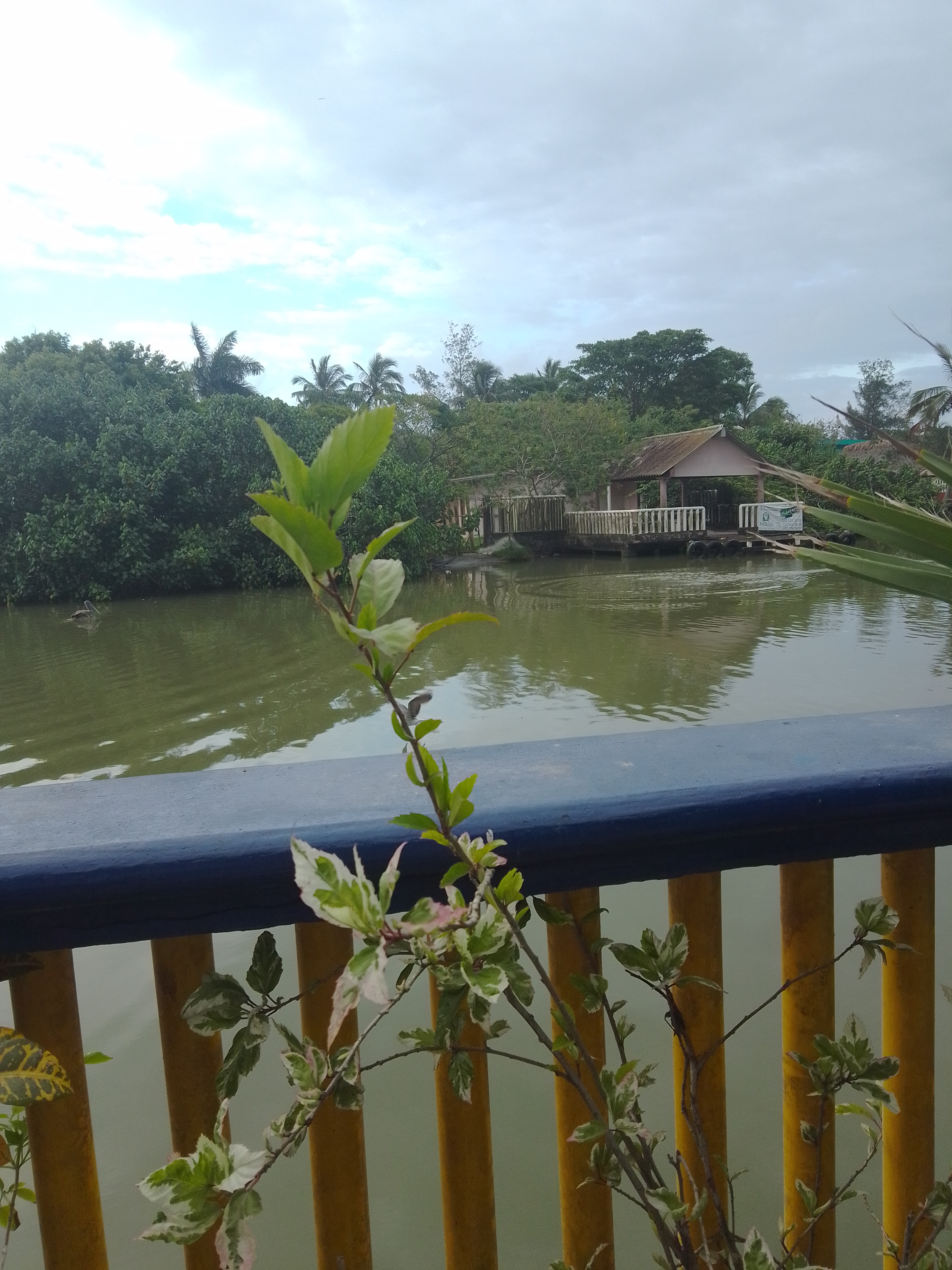 Restaurante Familiar MOCAMBO image 9