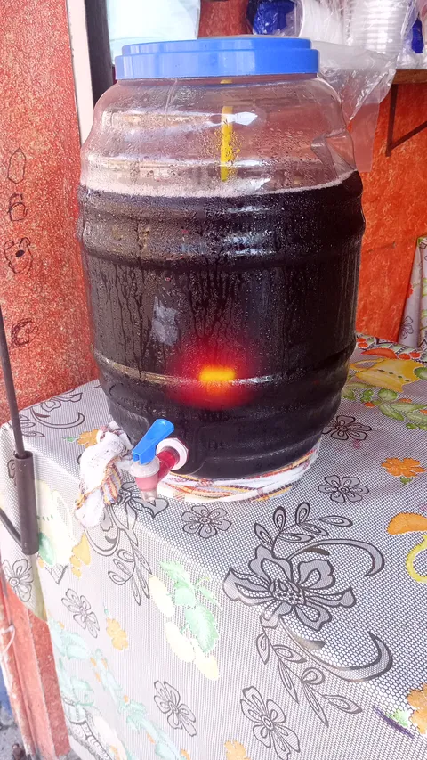 Tlayoyos Teziutecos image 8