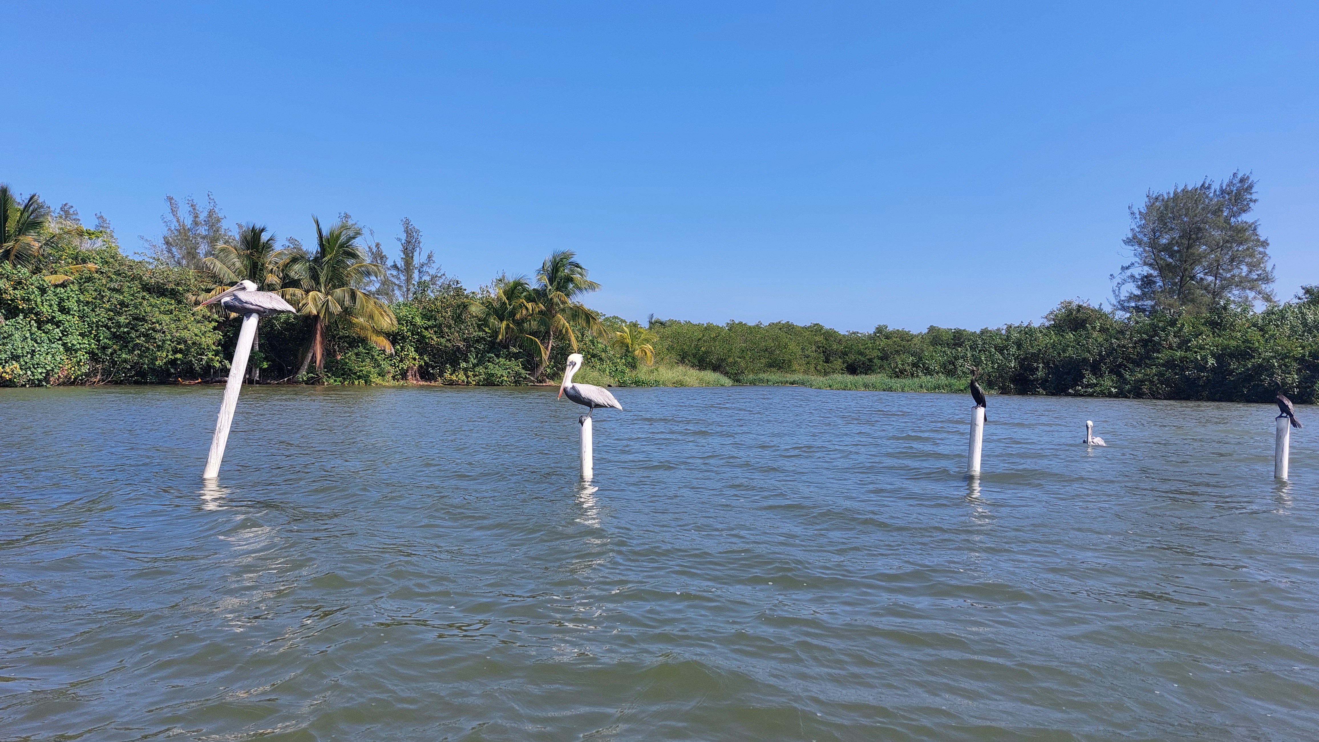 Restaurante Lucy image 6