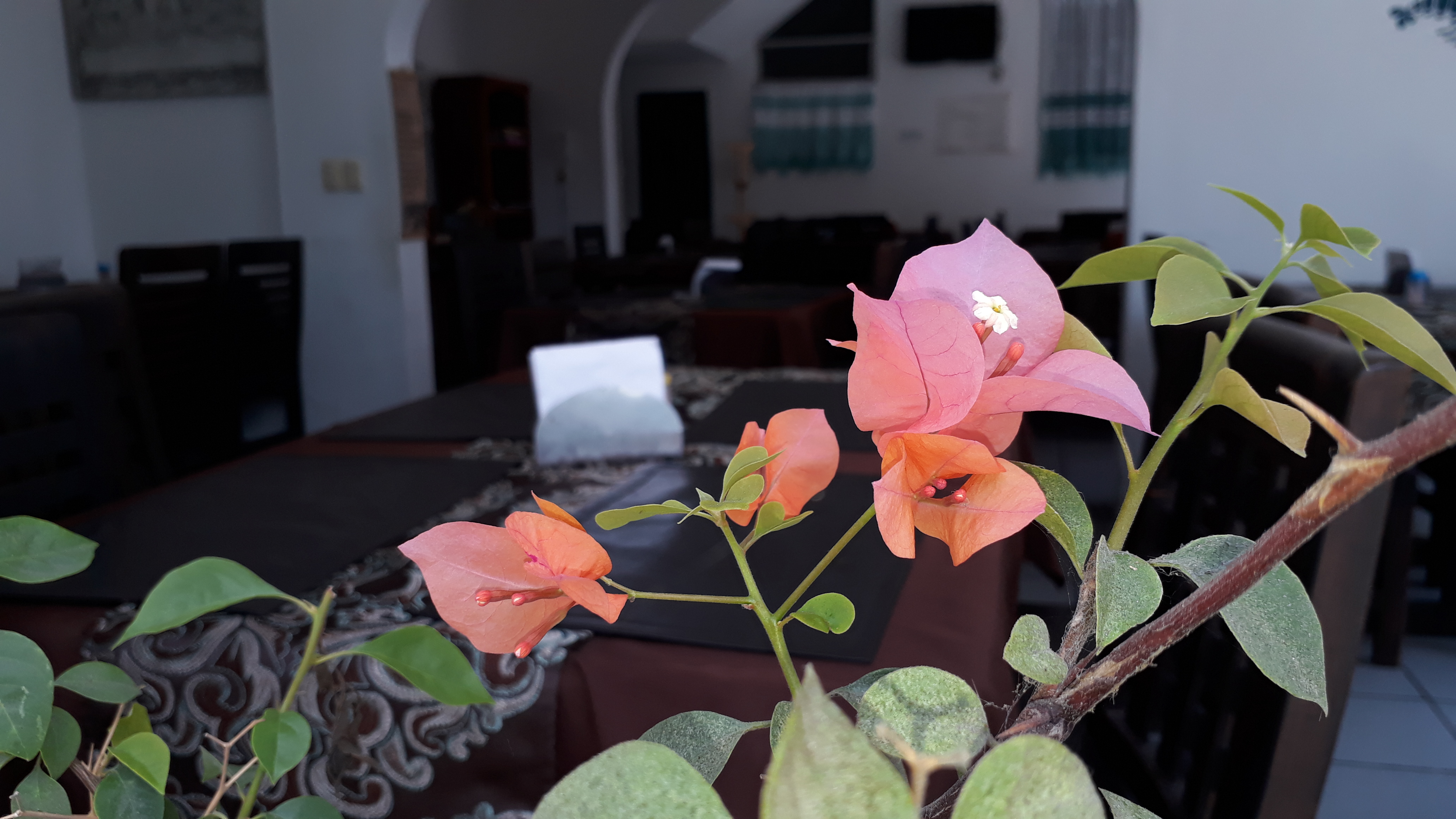 Arrecife Restaurante image 7