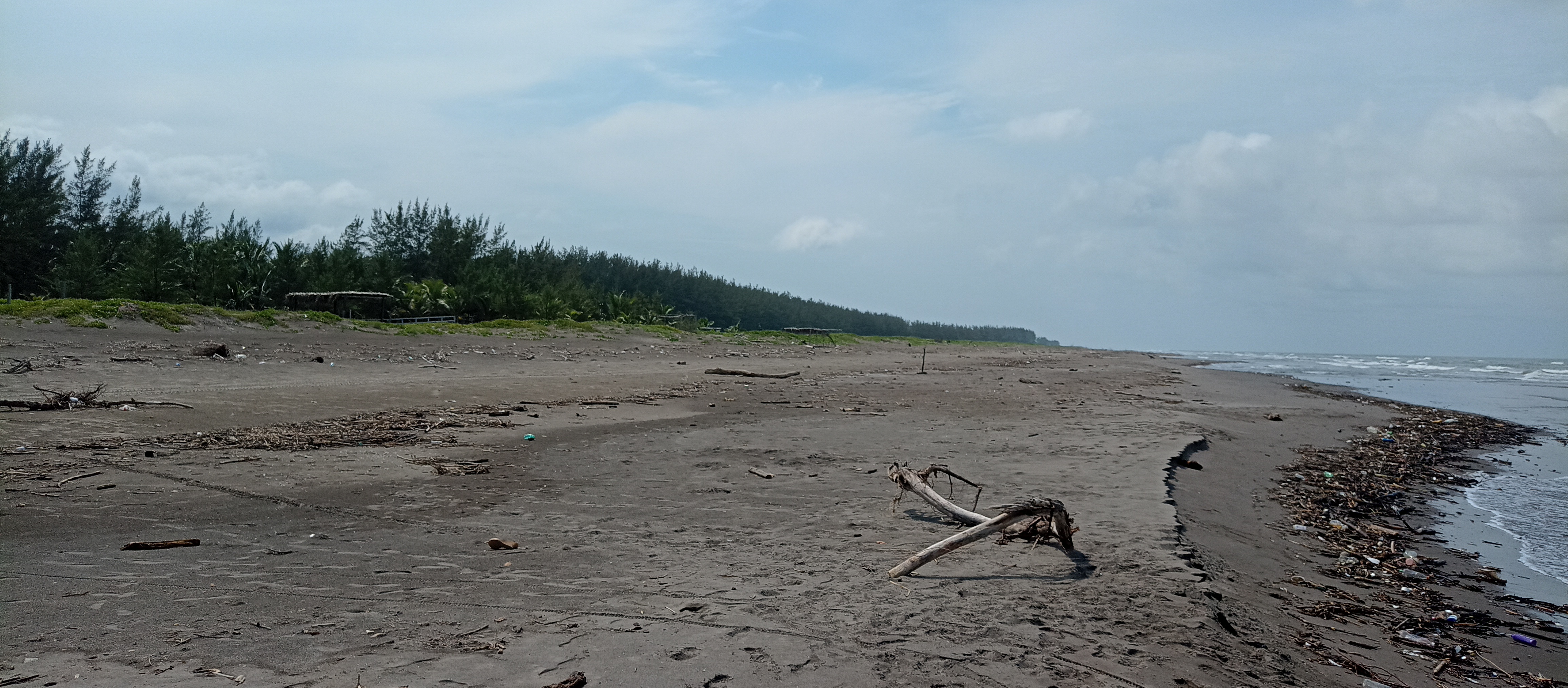 Restaurante Esmeralda Bar & Grill image 5