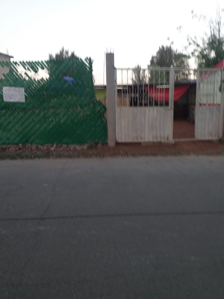 DIONISIO image 2