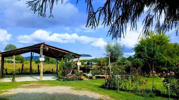 𝙍𝙚𝙨𝙩𝙖𝙪𝙧𝙖𝙣𝙩𝙚 - Mi Ranchito Escondido 𝙏𝙚𝙣𝙖𝙣𝙘𝙞𝙣𝙜𝙤 image 3