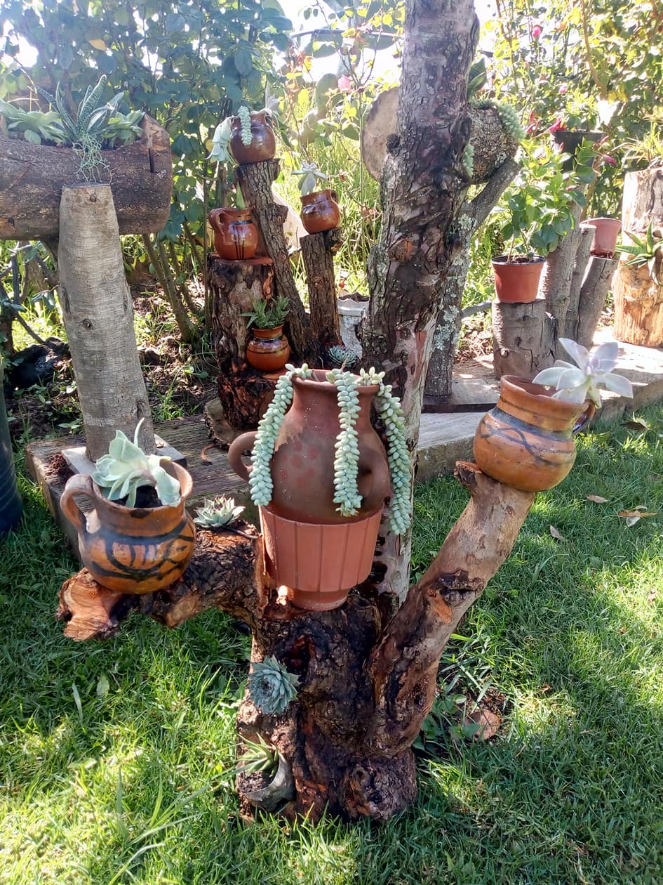 𝙍𝙚𝙨𝙩𝙖𝙪𝙧𝙖𝙣𝙩𝙚 - Mi Ranchito Escondido 𝙏𝙚𝙣𝙖𝙣𝙘𝙞𝙣𝙜𝙤 image 4
