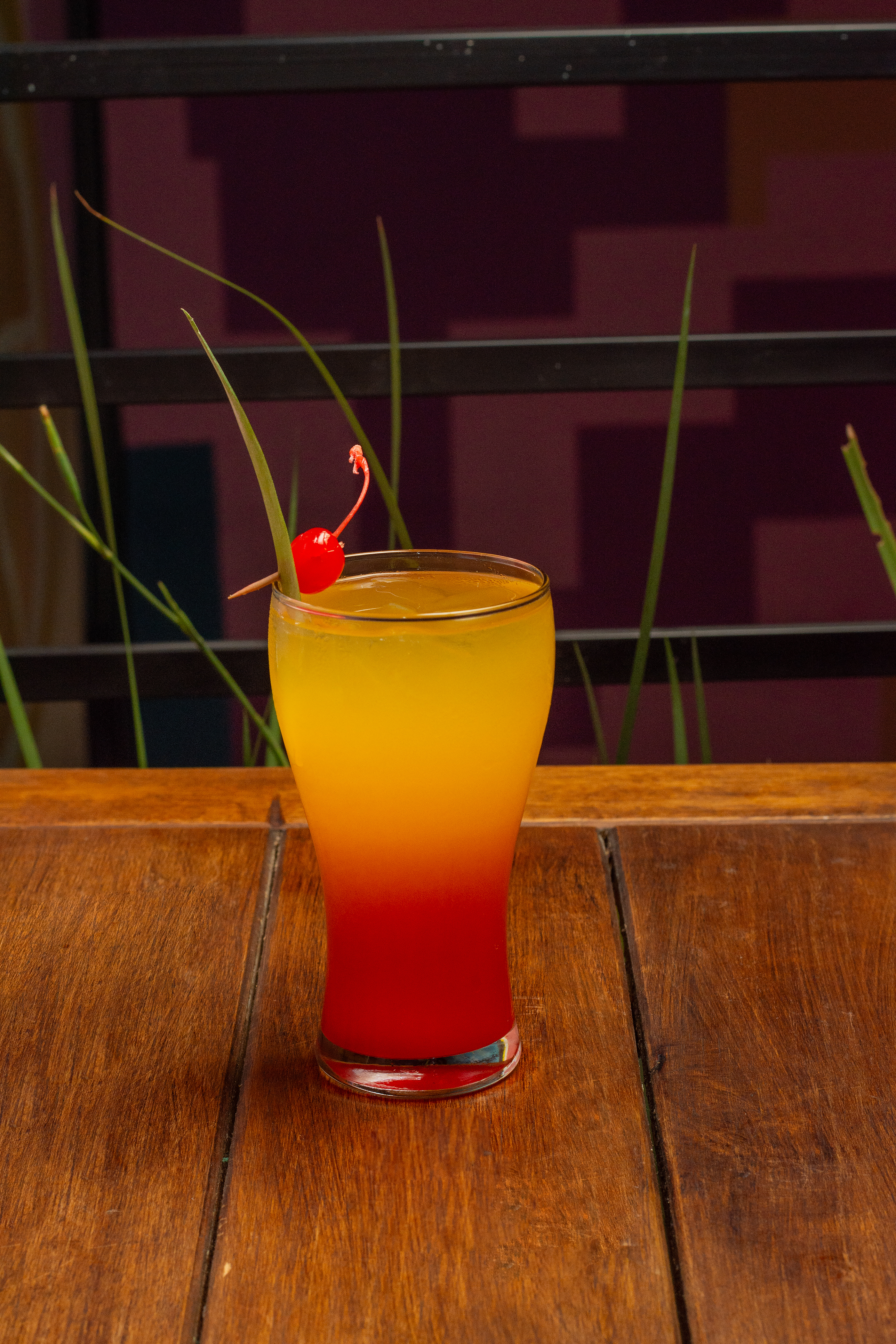 Maria Mezcal image 4