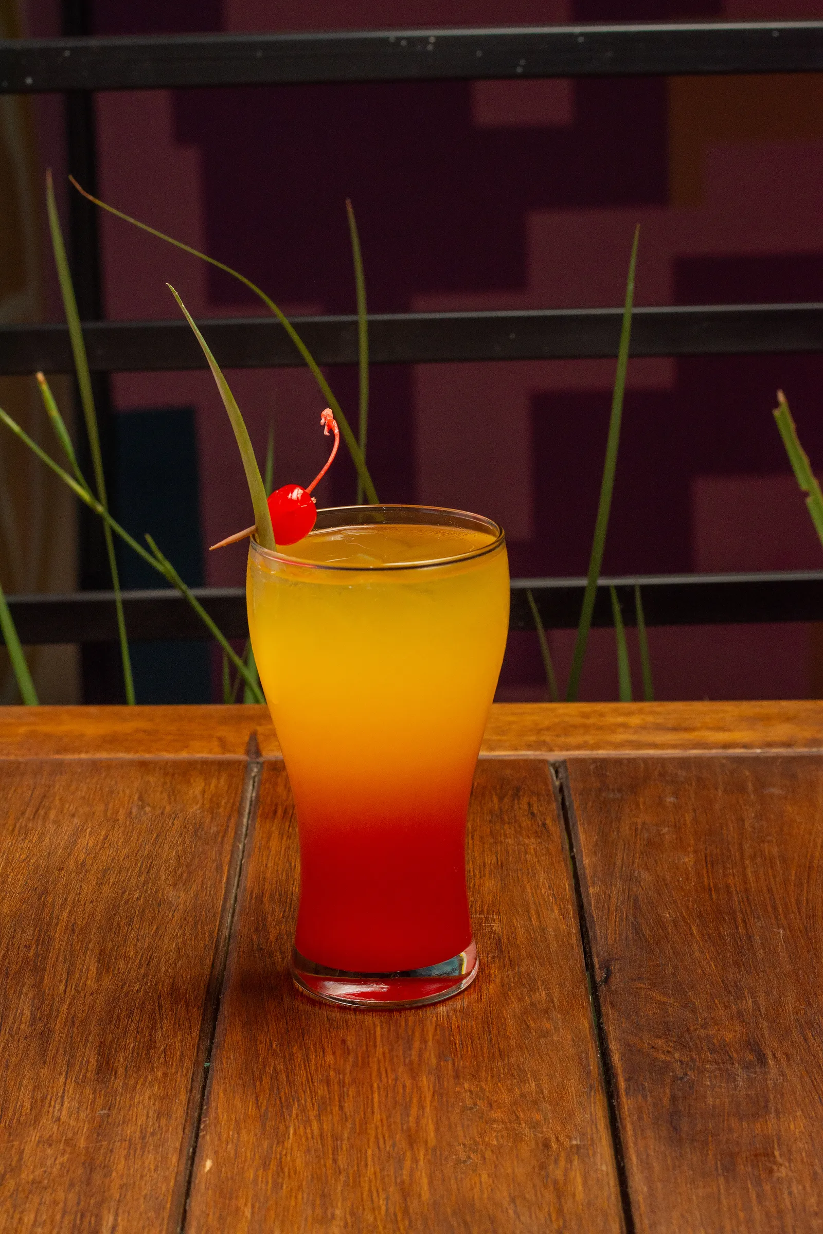 Maria Mezcal image 4