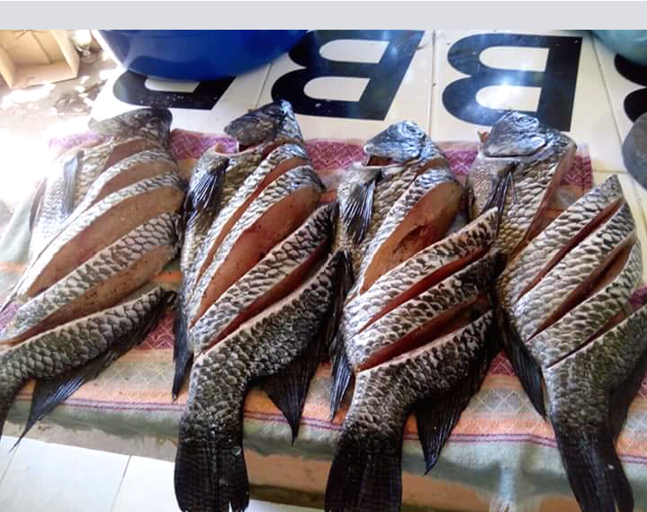 Restaurante de Mariscos El Jardín image 8