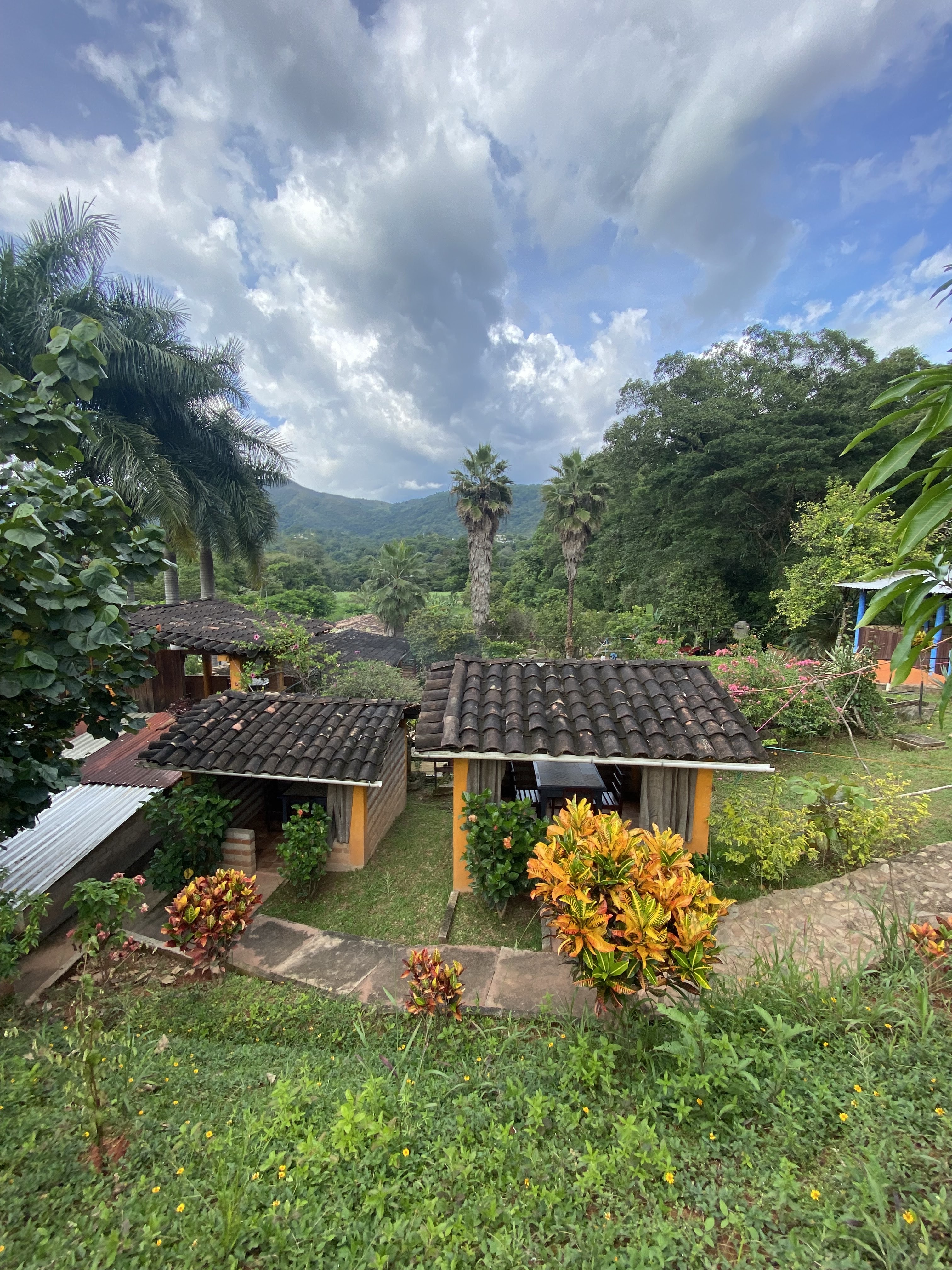 La Finca image 3