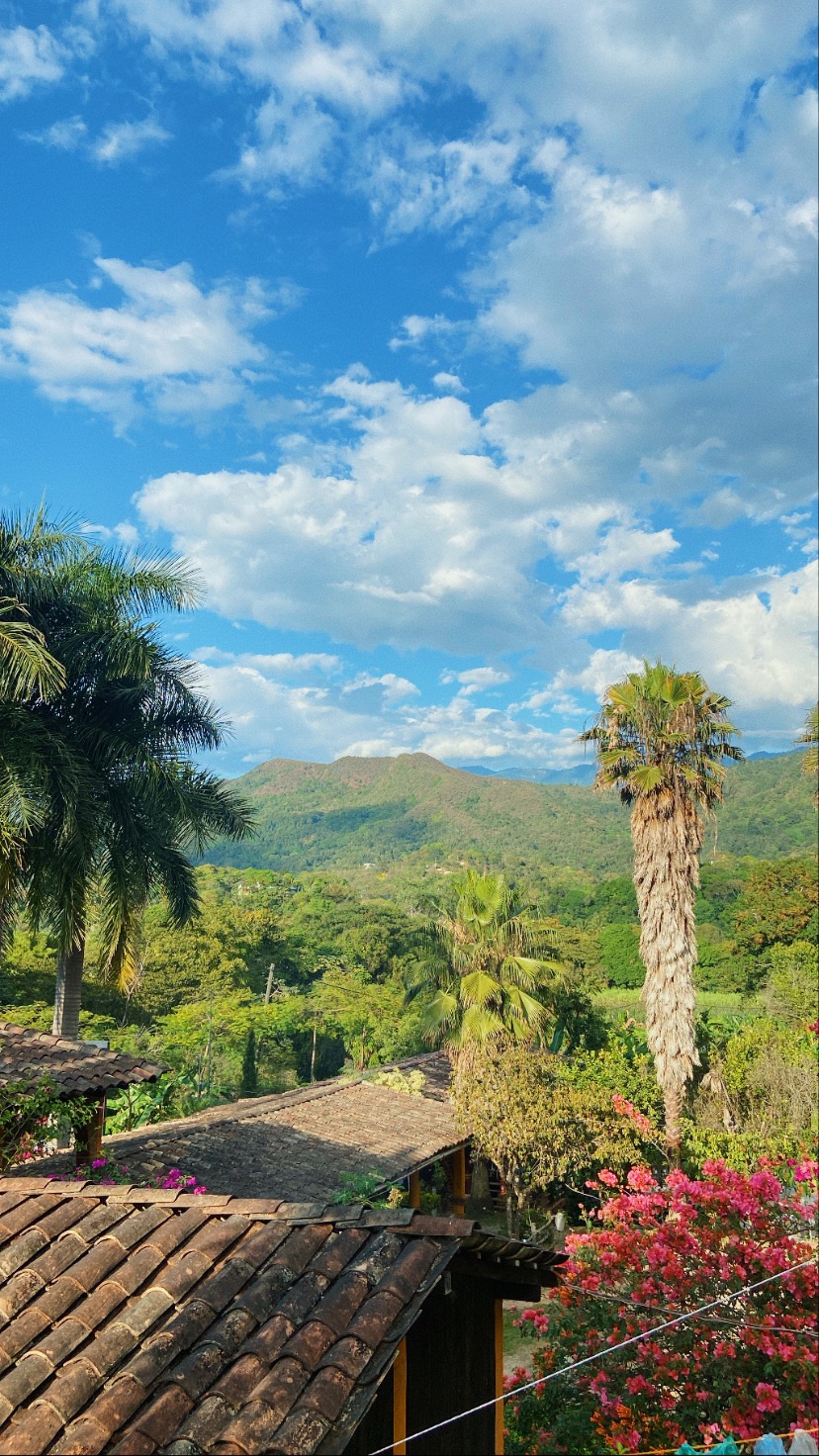 La Finca image 4
