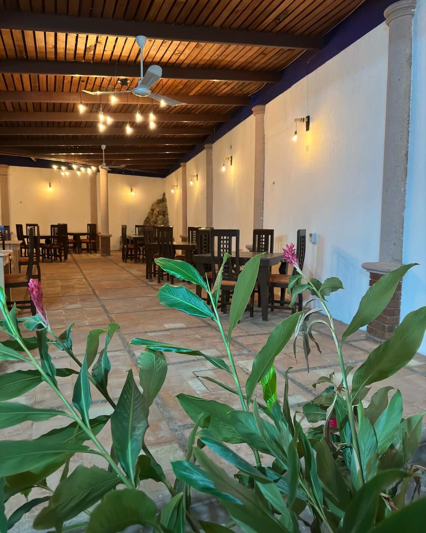 Restaurante El jardín image 3