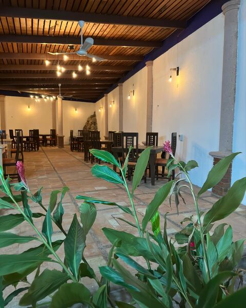 Restaurante El jardín image 3