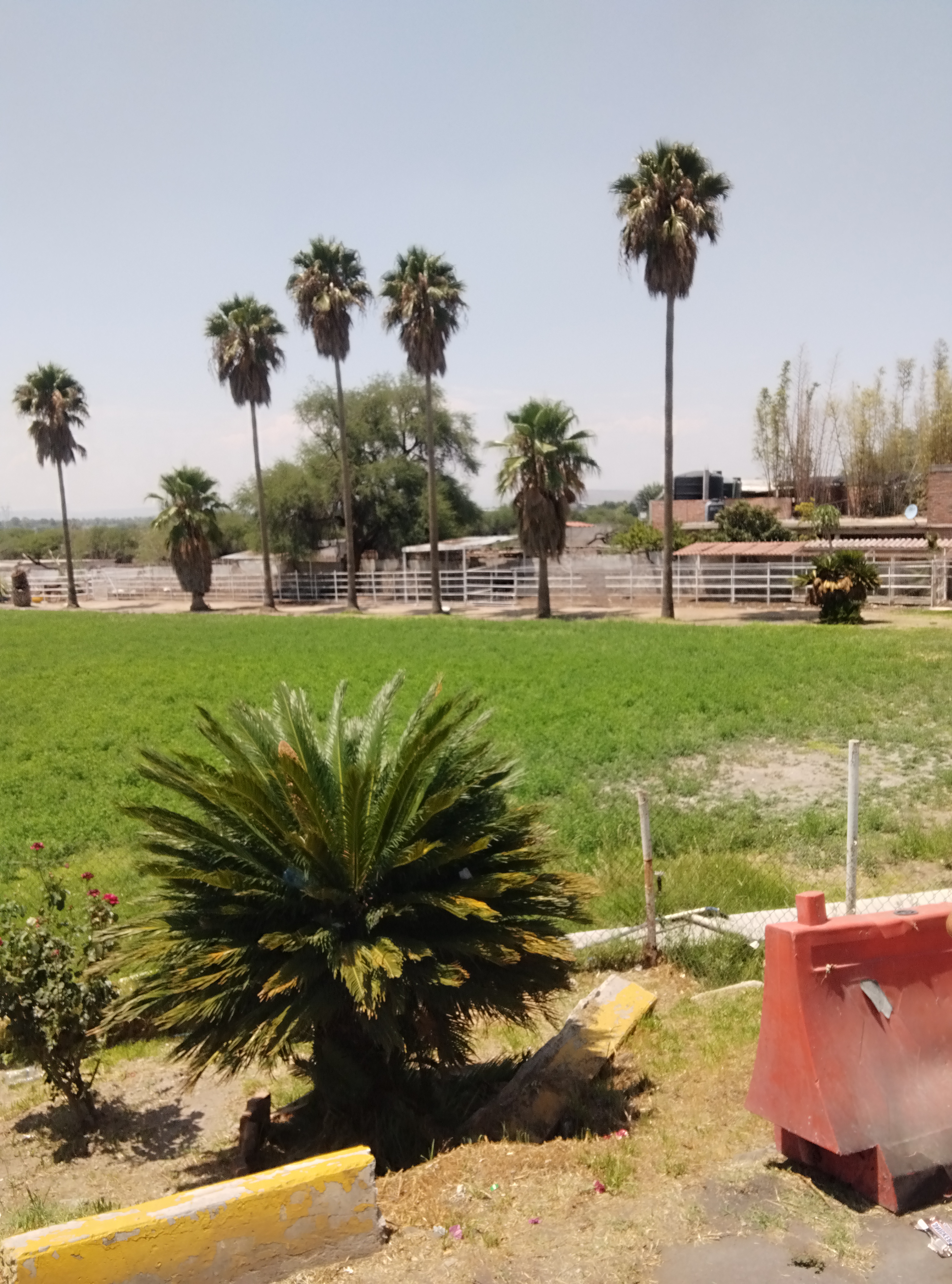 Restaurant La Morena image 9