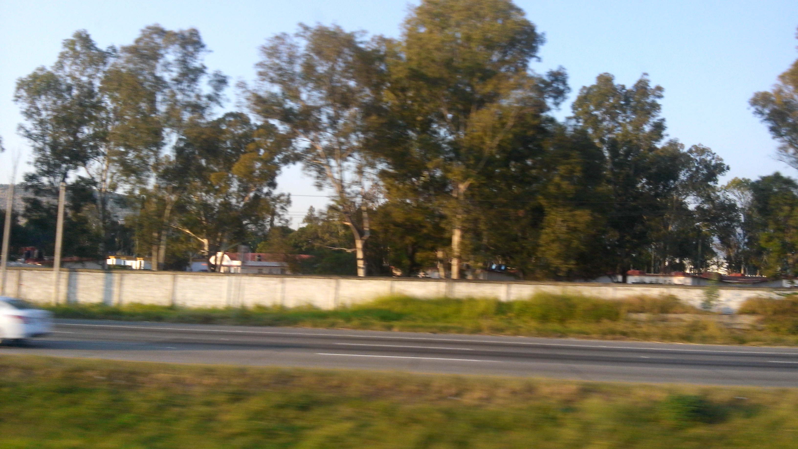 Restaurante Los Pirules image 10