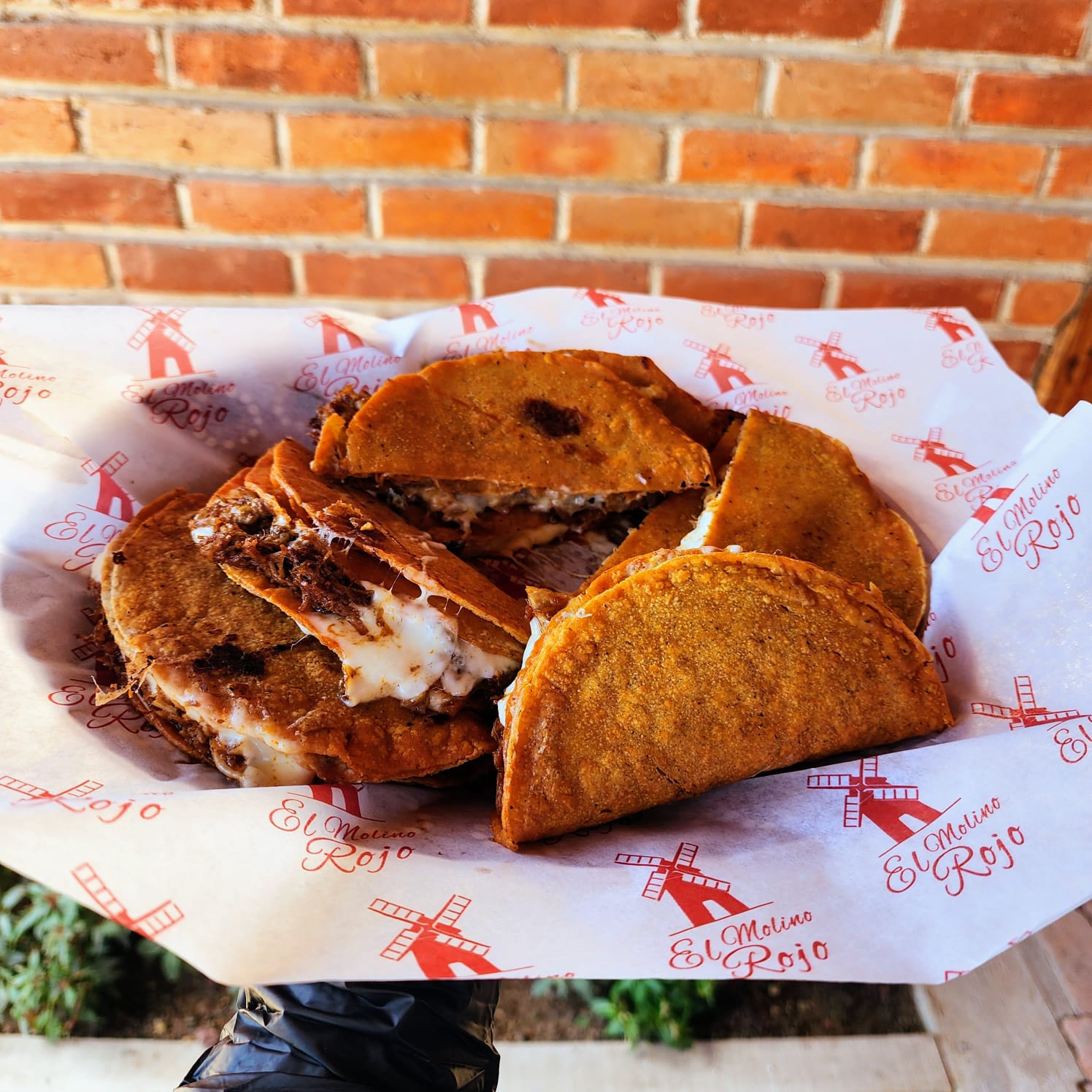 El Molino Rojo image 2