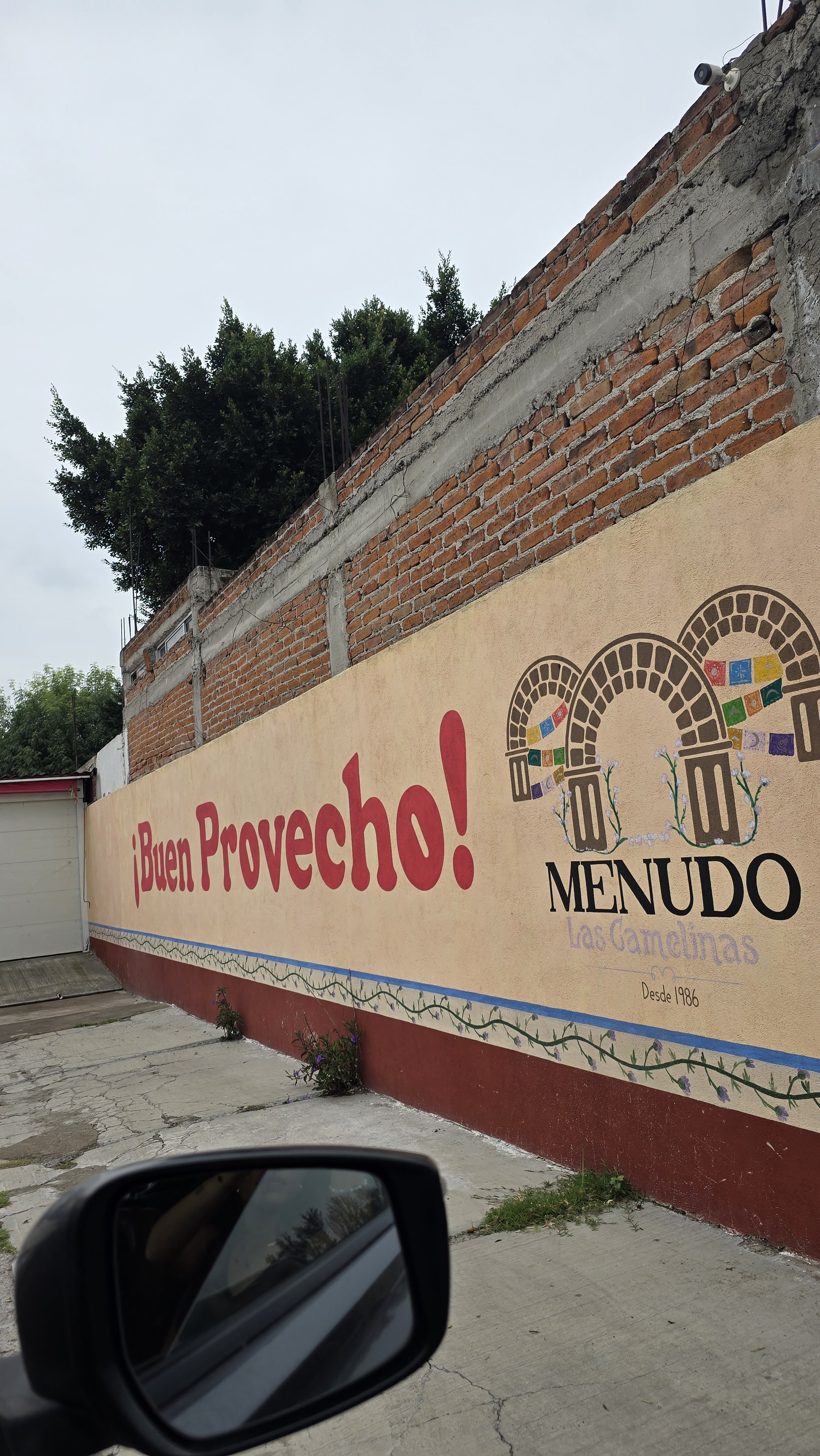 Restaurante De Menudo Las Camelinas image 8