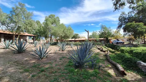 Restaurante Tierra de Alonso image 4