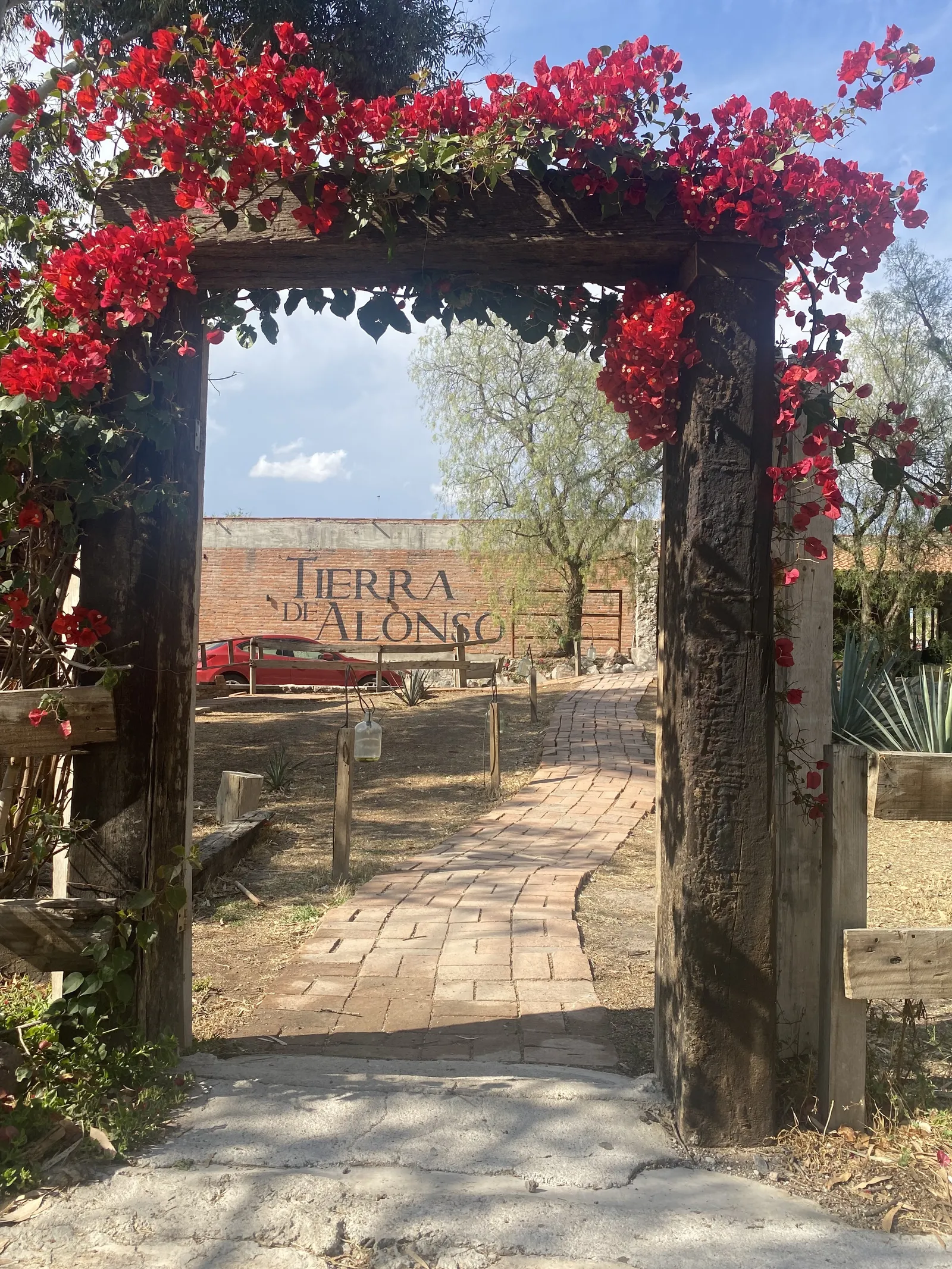 Restaurante Tierra de Alonso image 6