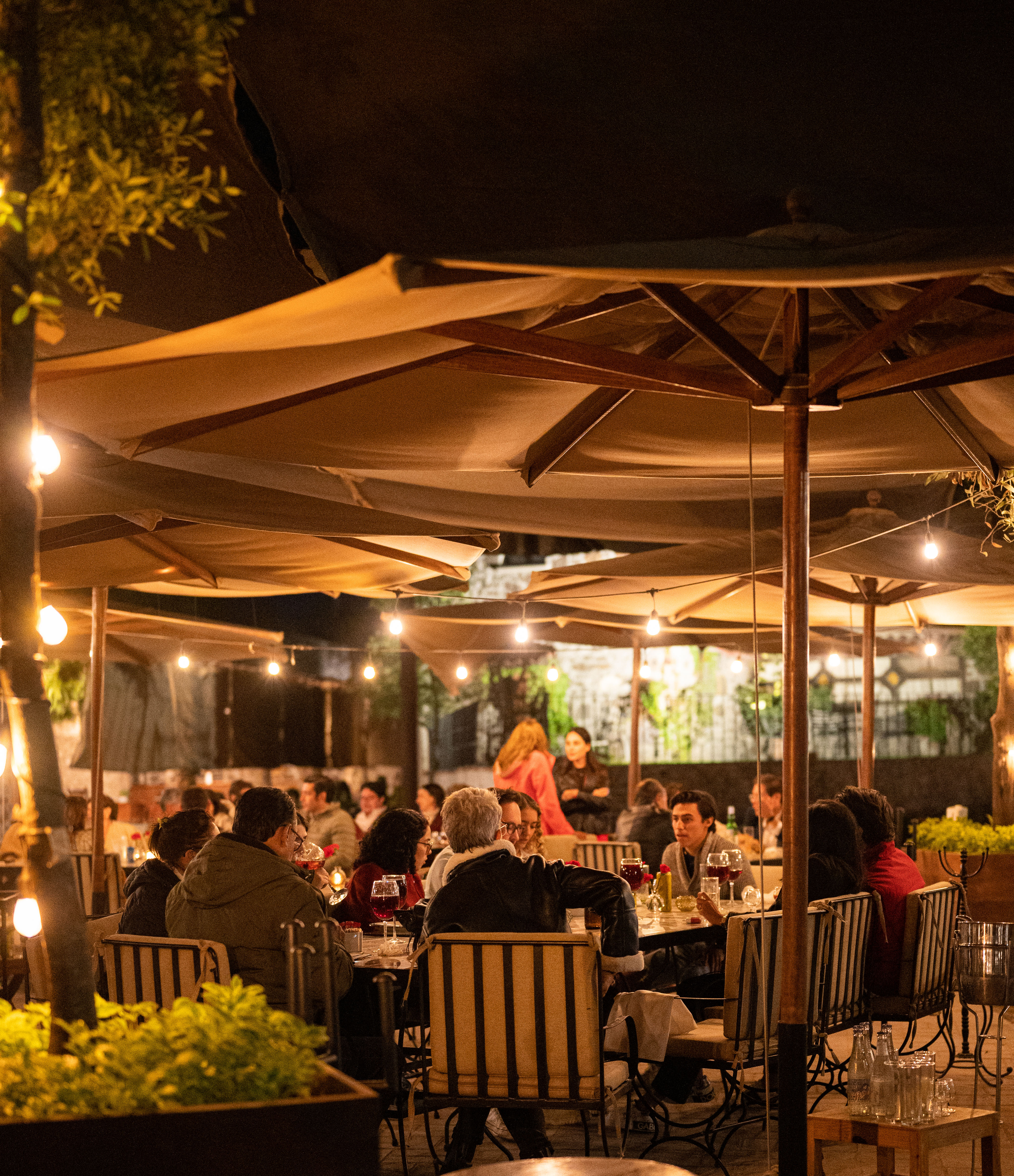 Hotel Rancho El 7 image 3