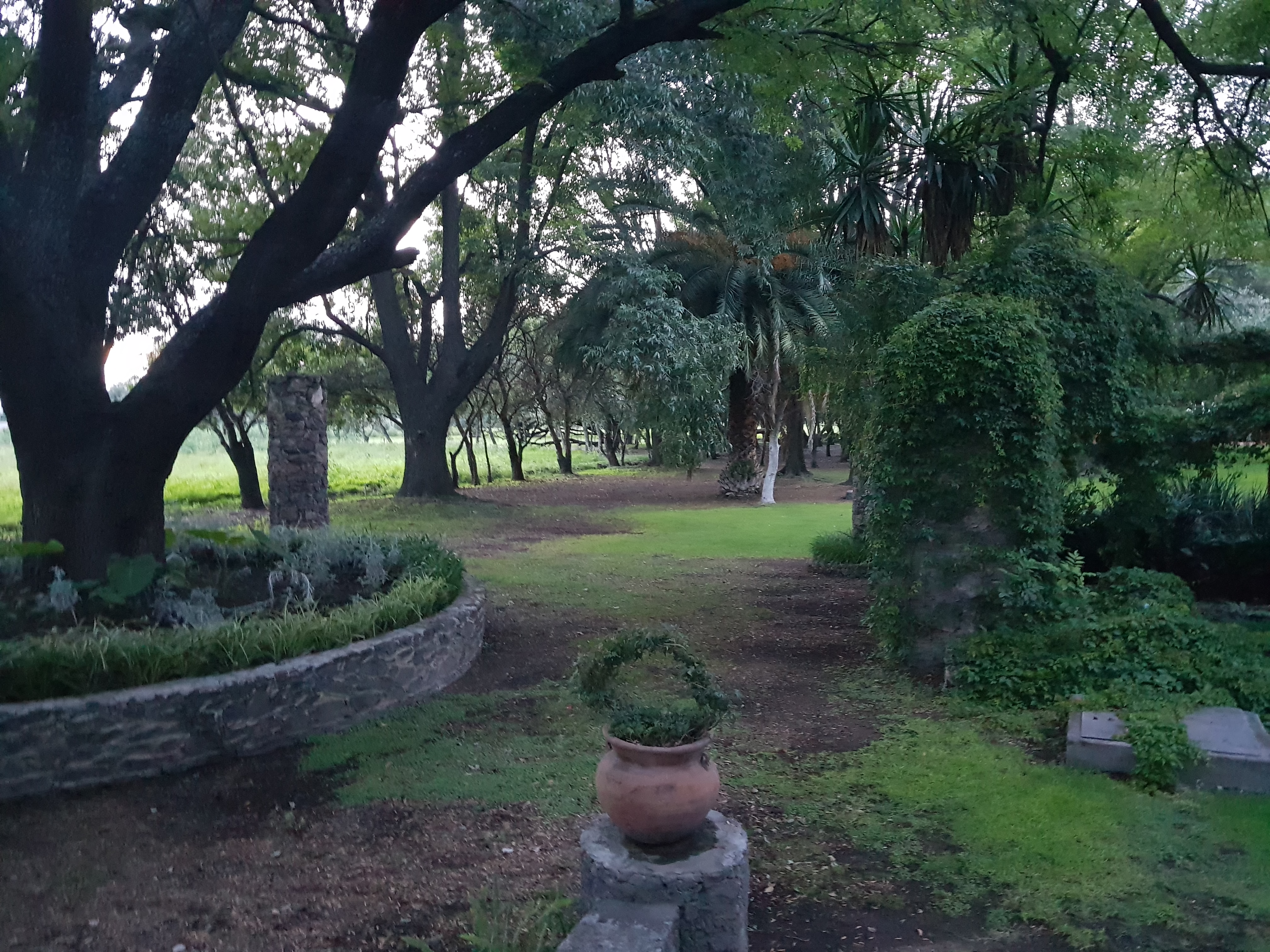 Hotel Rancho El 7 image 7