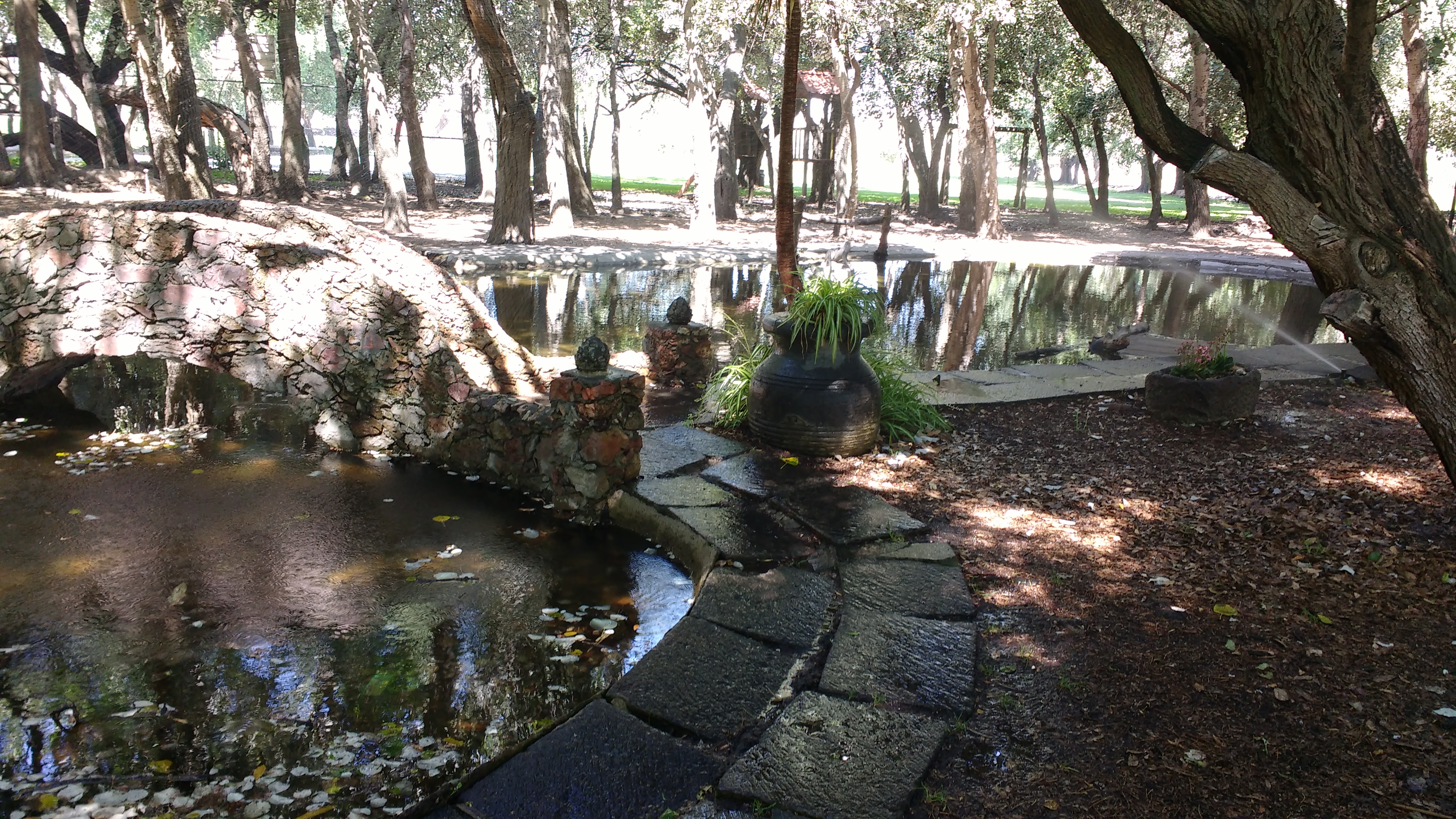 Hotel Rancho El 7 image 10