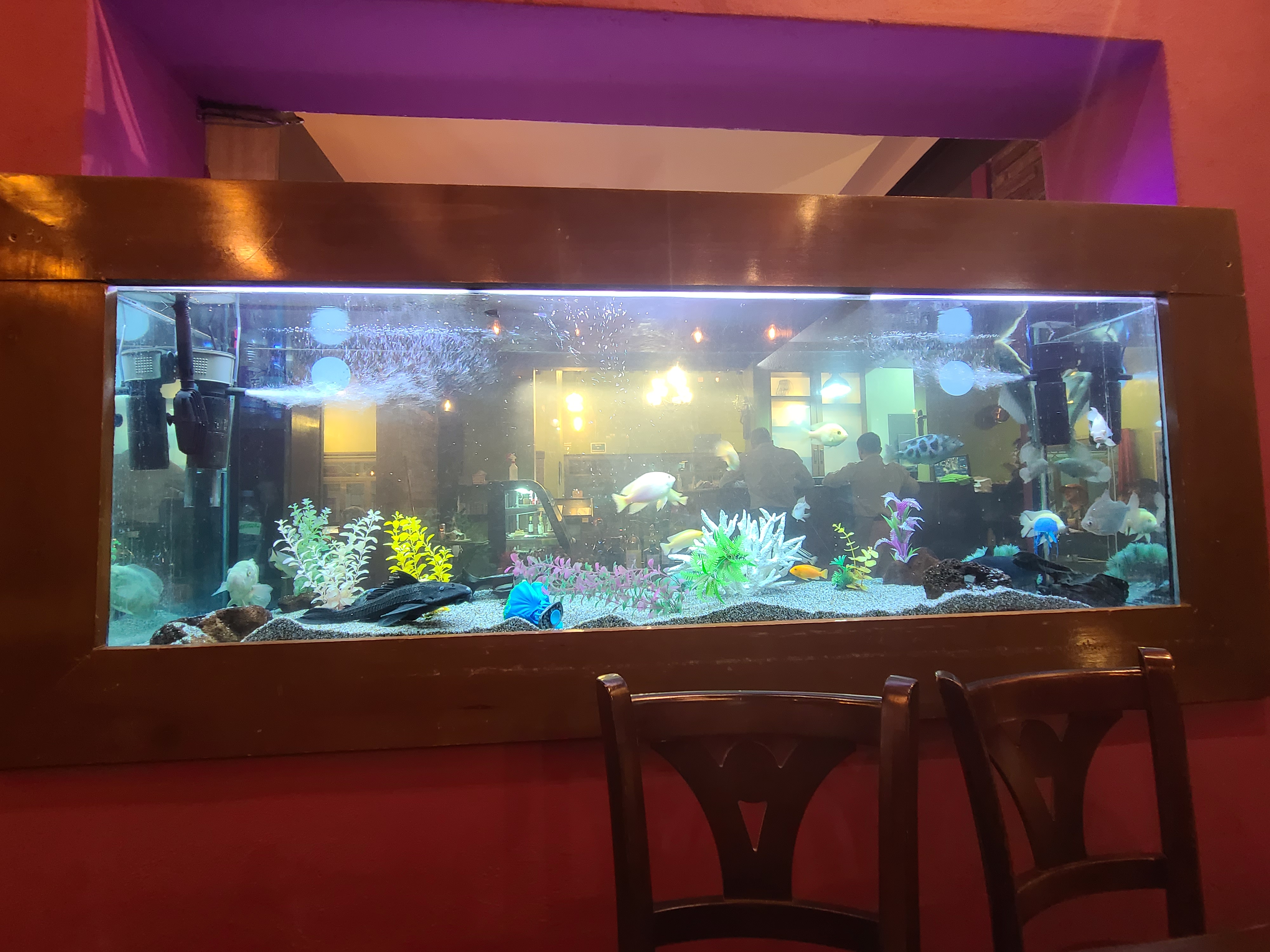 Molino Restaurante image 9