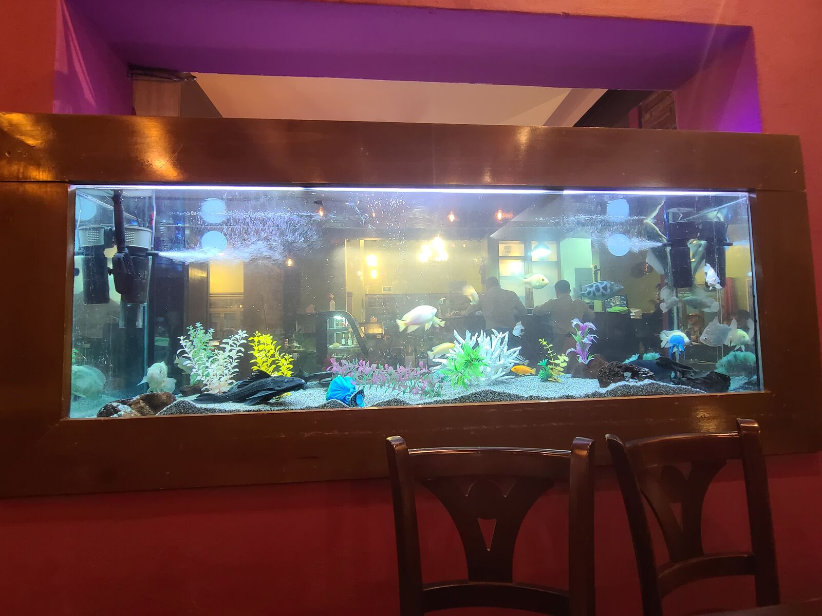 Molino Restaurante image 9