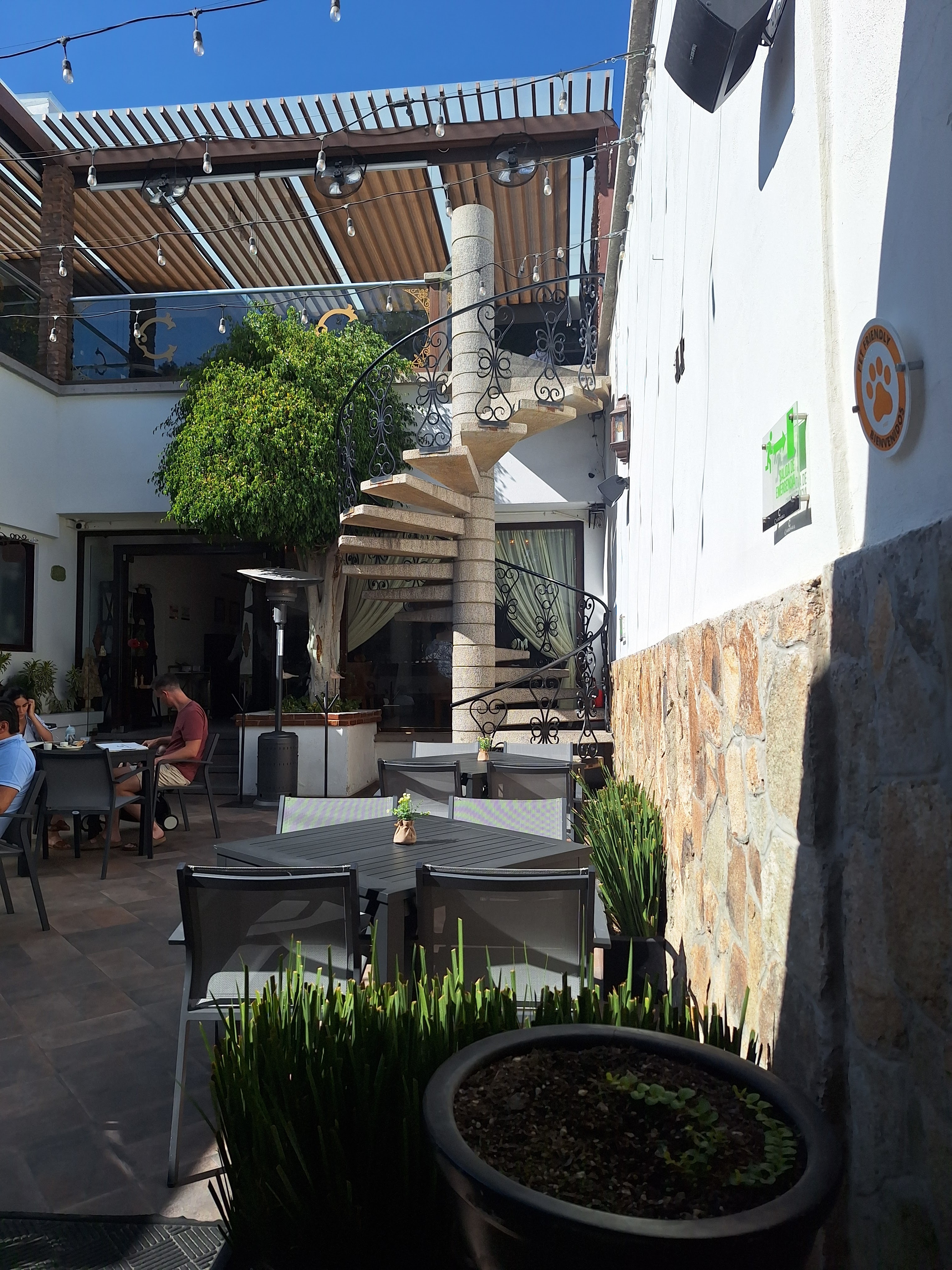 CARBONARO PACHUCA RESTAURANTE image 4