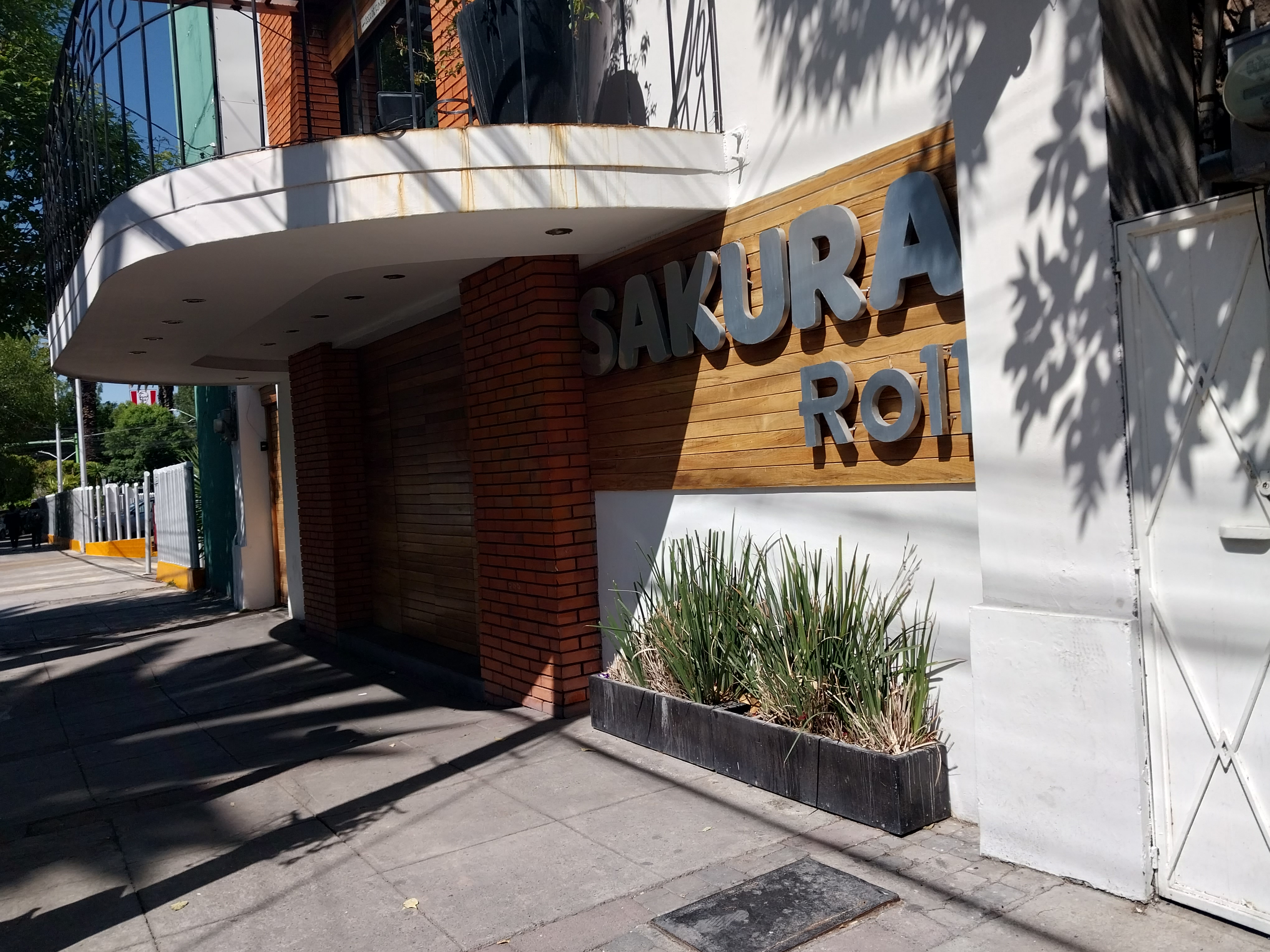 Sakura Roll, Revolución image 1