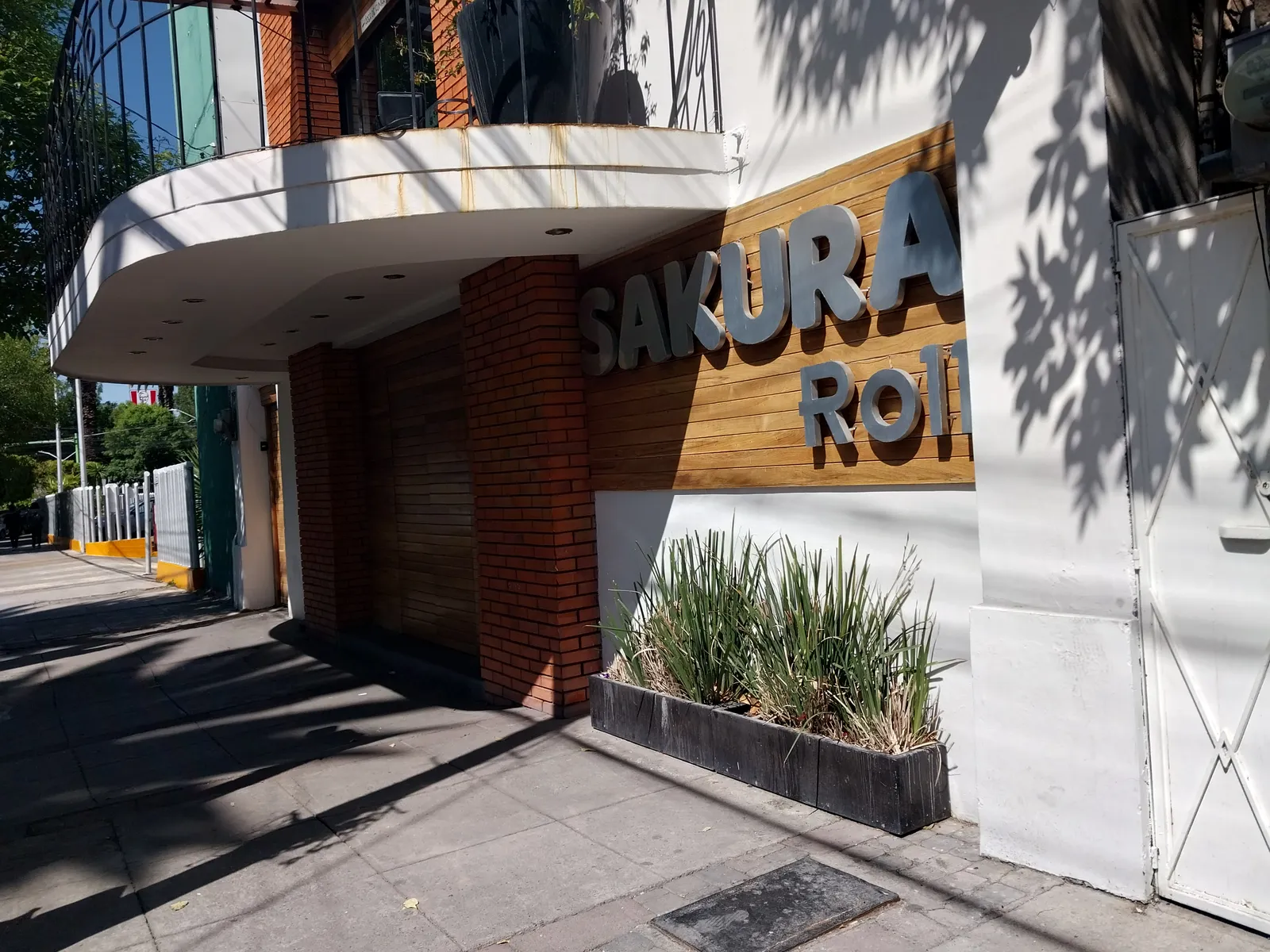 Sakura Roll, Revolución image 1